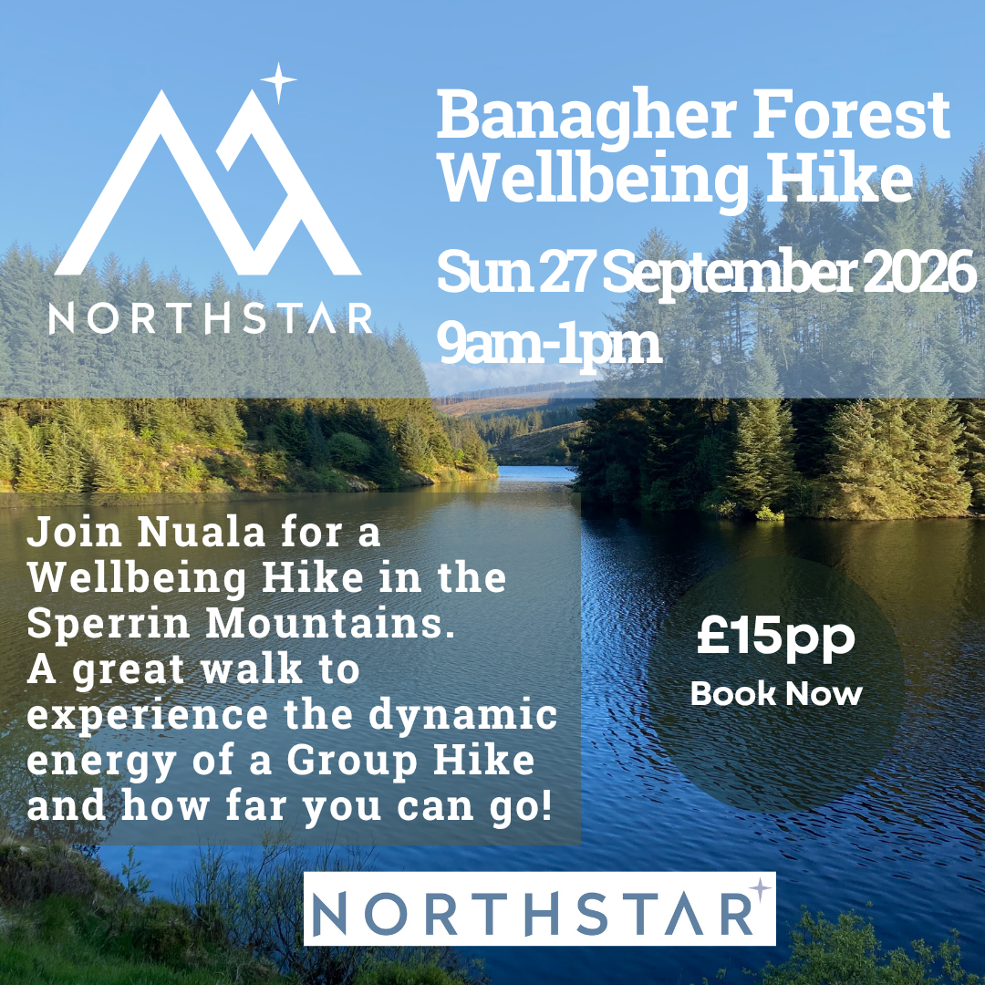 Banagher Forest Morning Hike-2.png