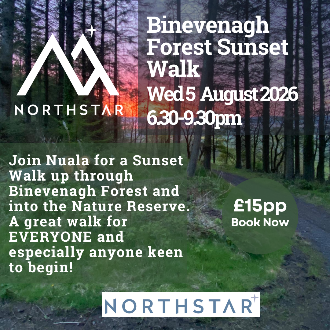 Binevenagh Forest Sunset Hike.png