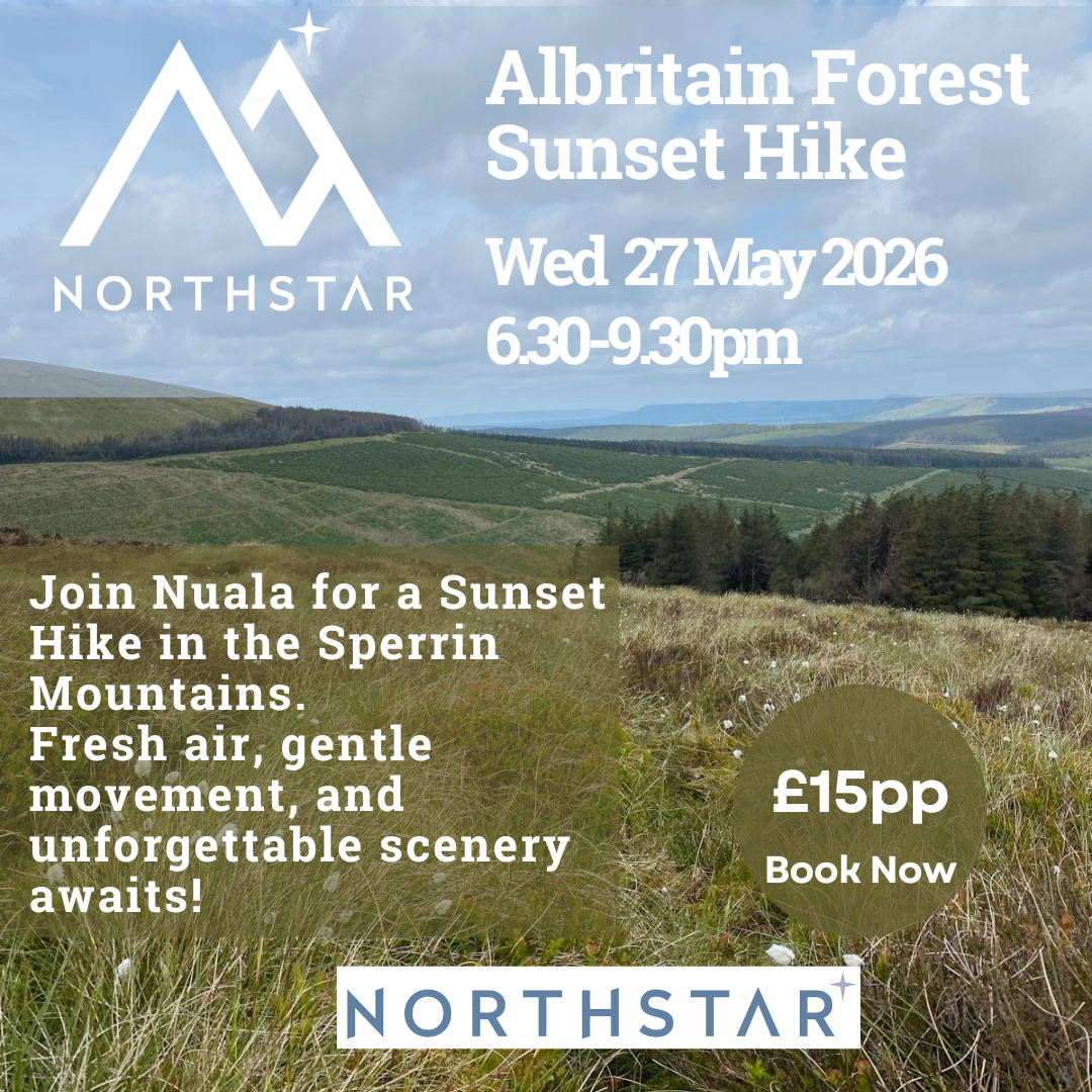 Albritain Forest Hike.png