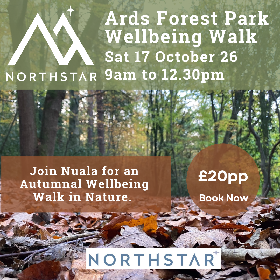 Ards Forest Park Wellbeing Walk.png