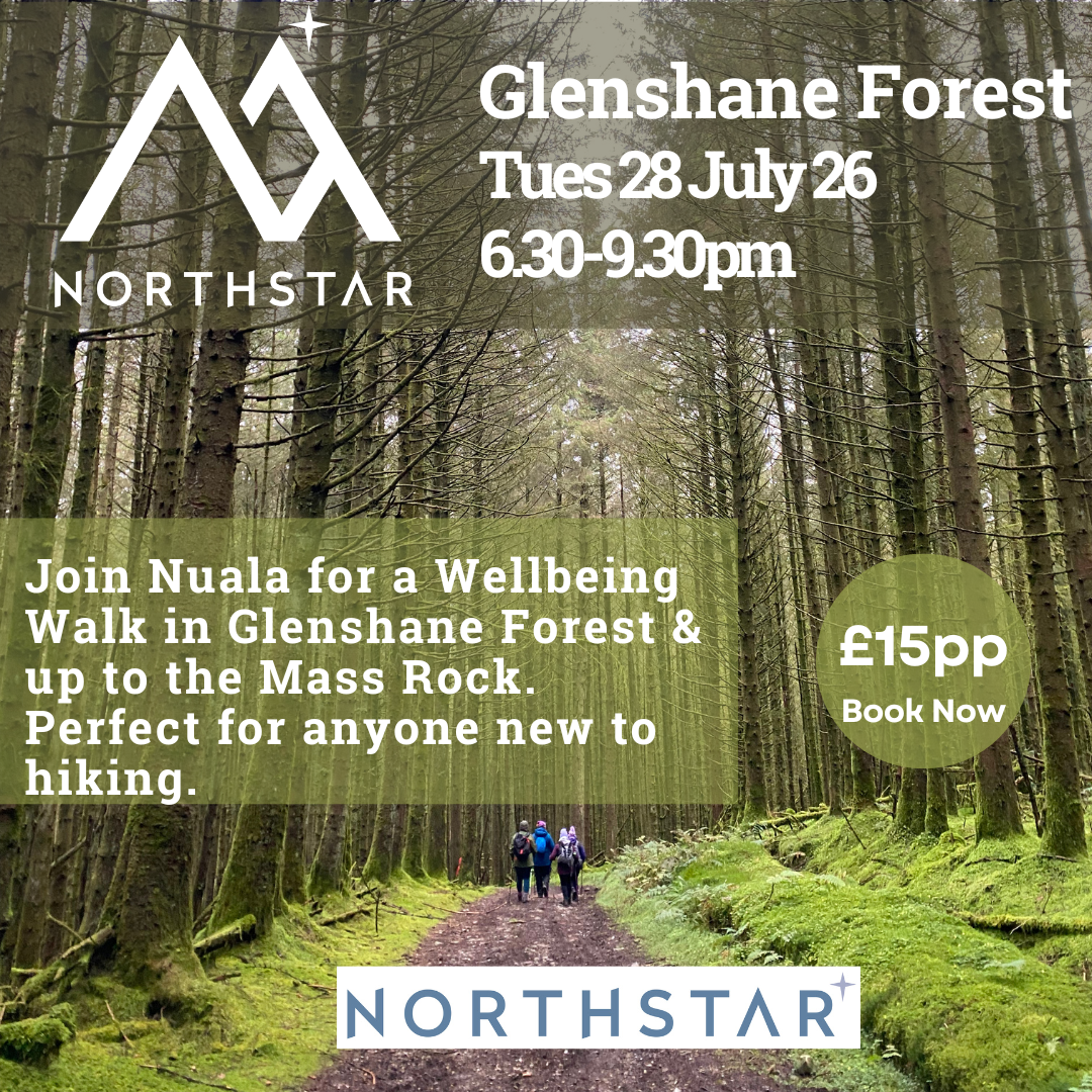 Glenshane Forest Mass Rock.png