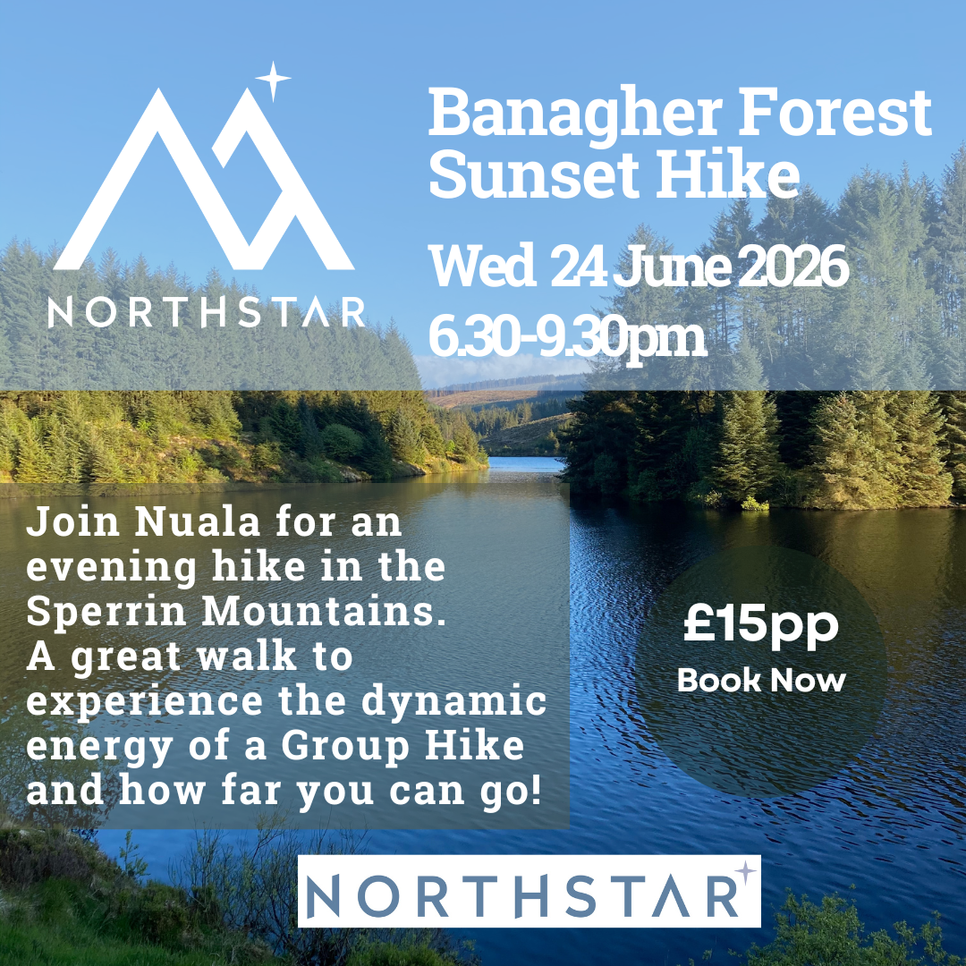 Banagher Forest Sunset Hike (1).png