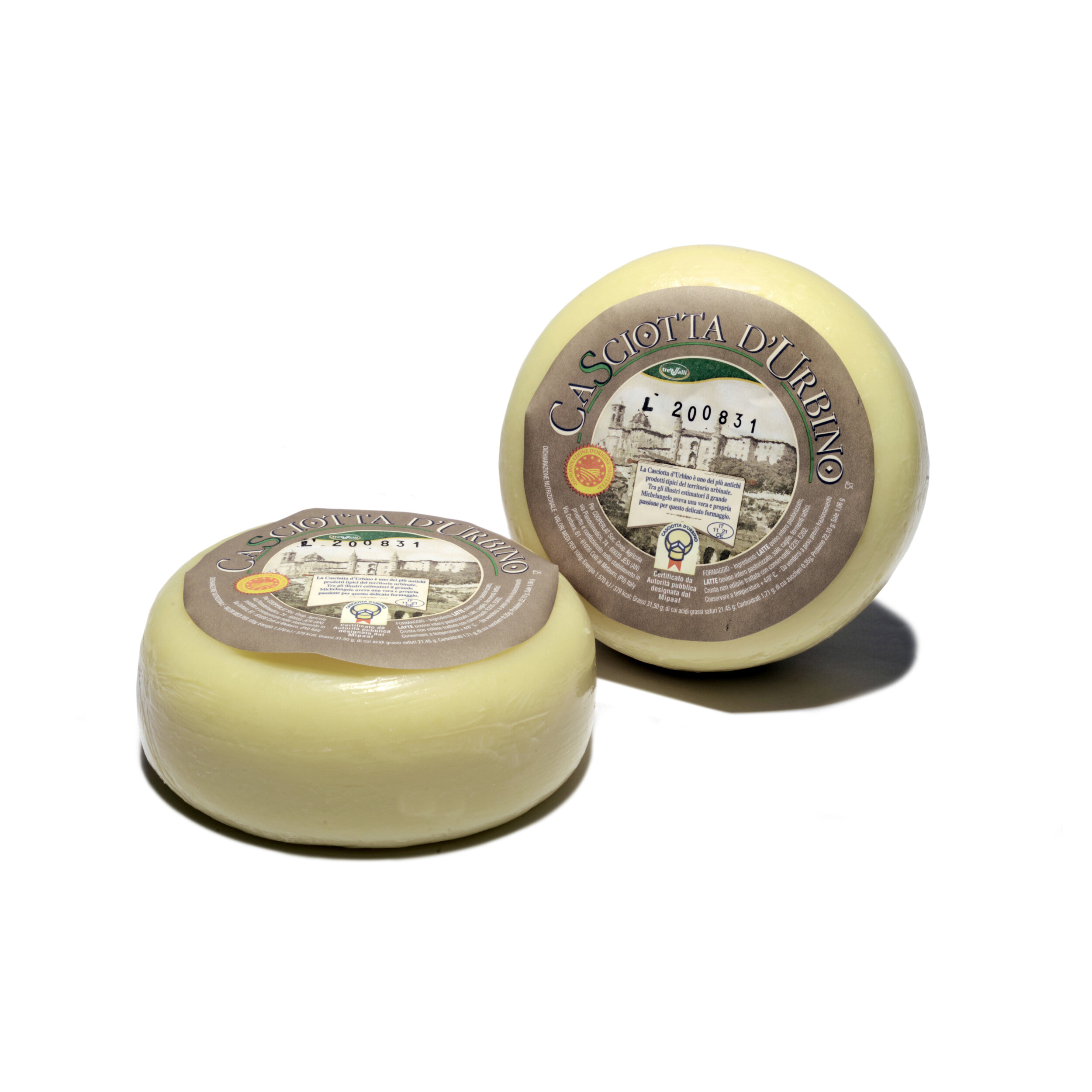 CASCIOTTA D'URBINO DOP