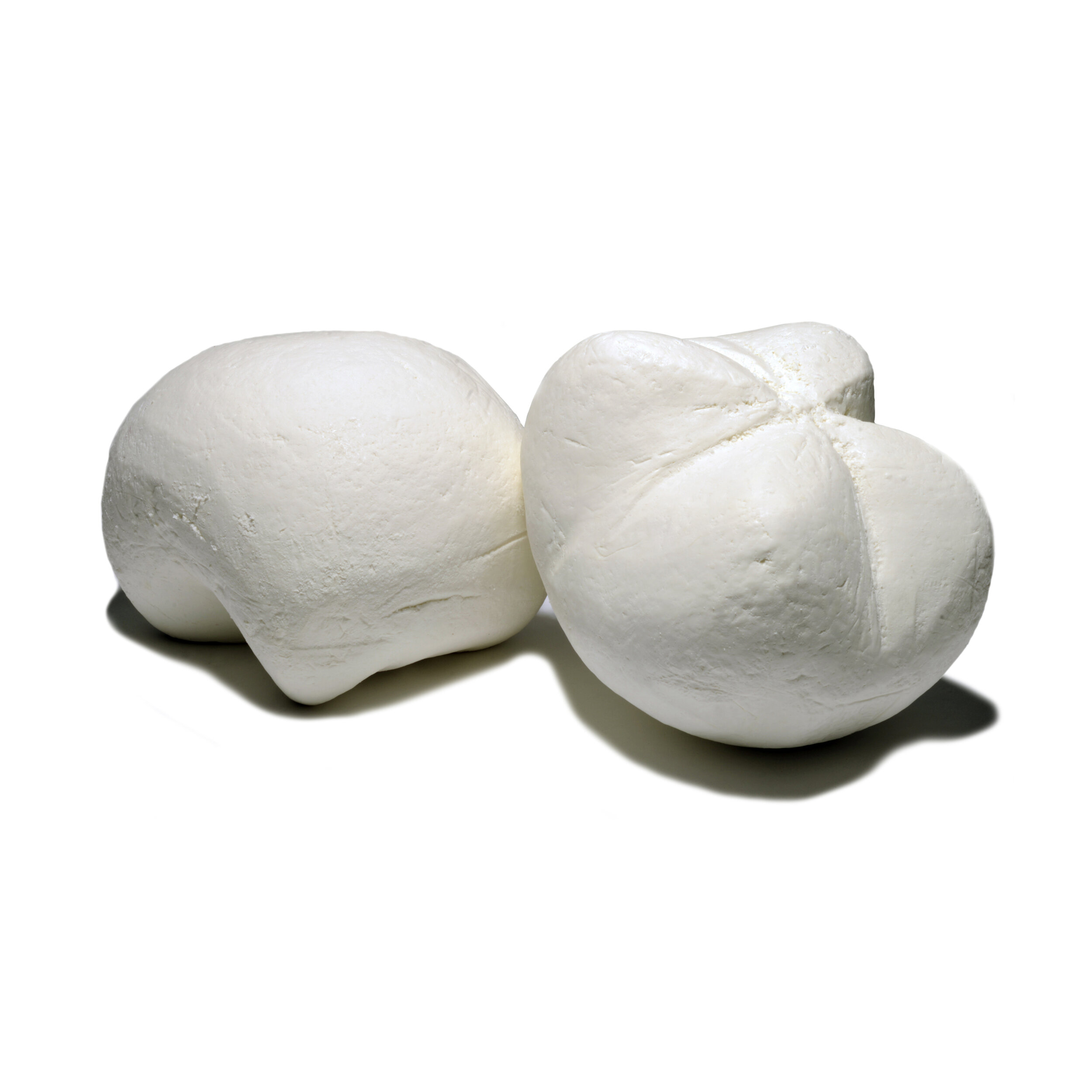 RICOTTA DI PECORA STAGIONATA - PINNA