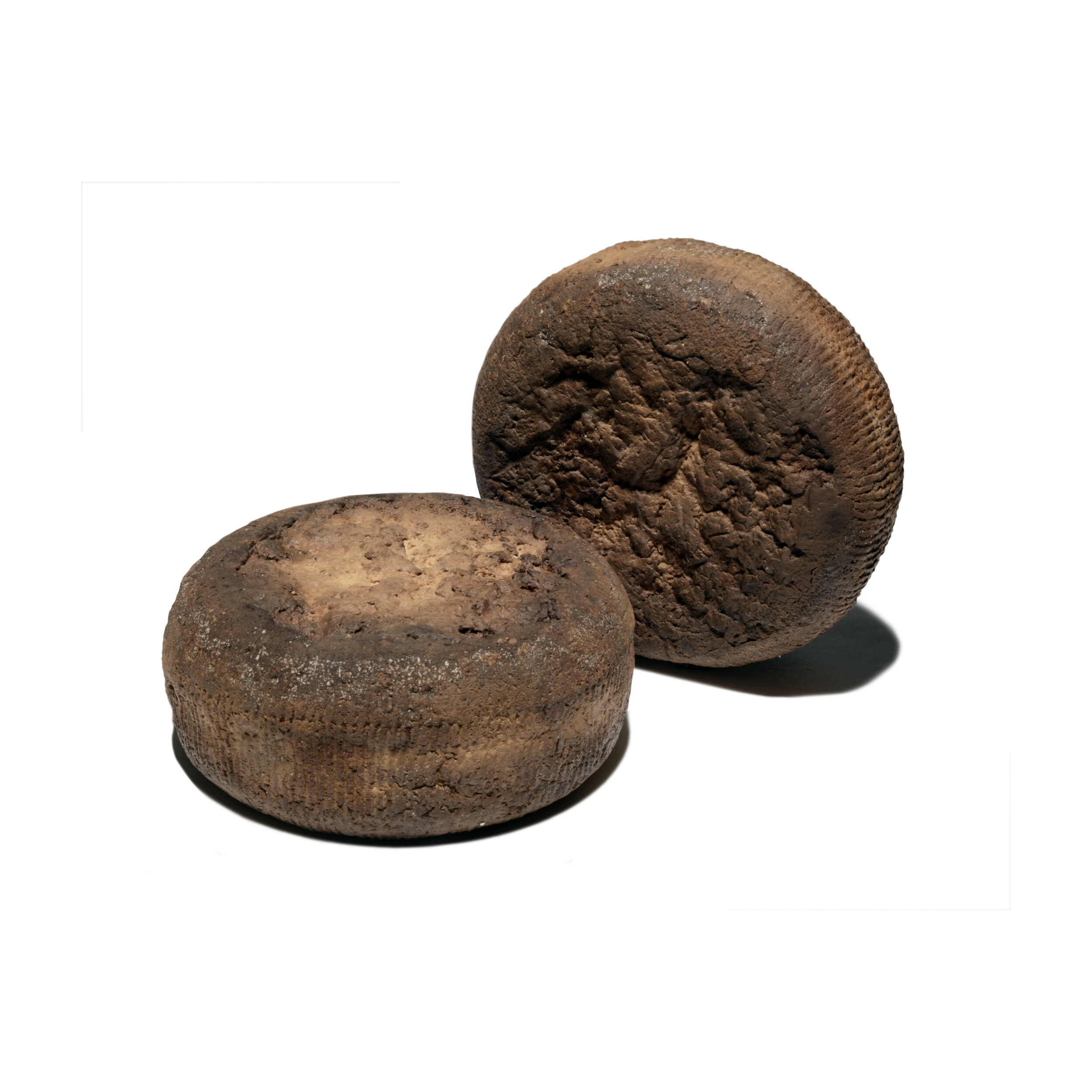 RICOTTA AL FORNO DA GRATTUGIA