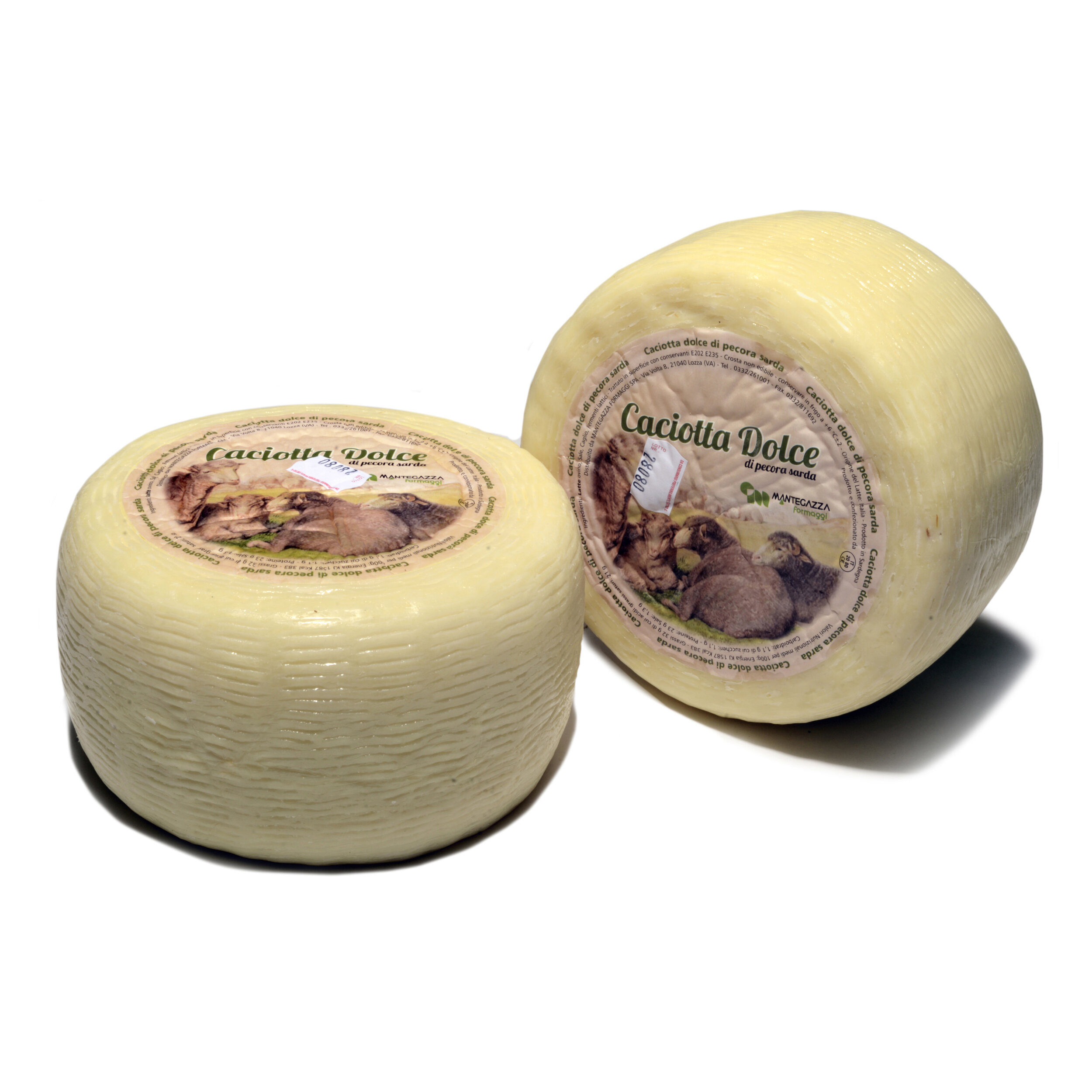 SHEEP'S MILK CACIOTTA - MANTEGAZZA
