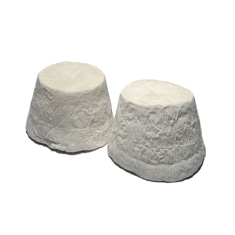 SALTED SICILIAN RICOTTA