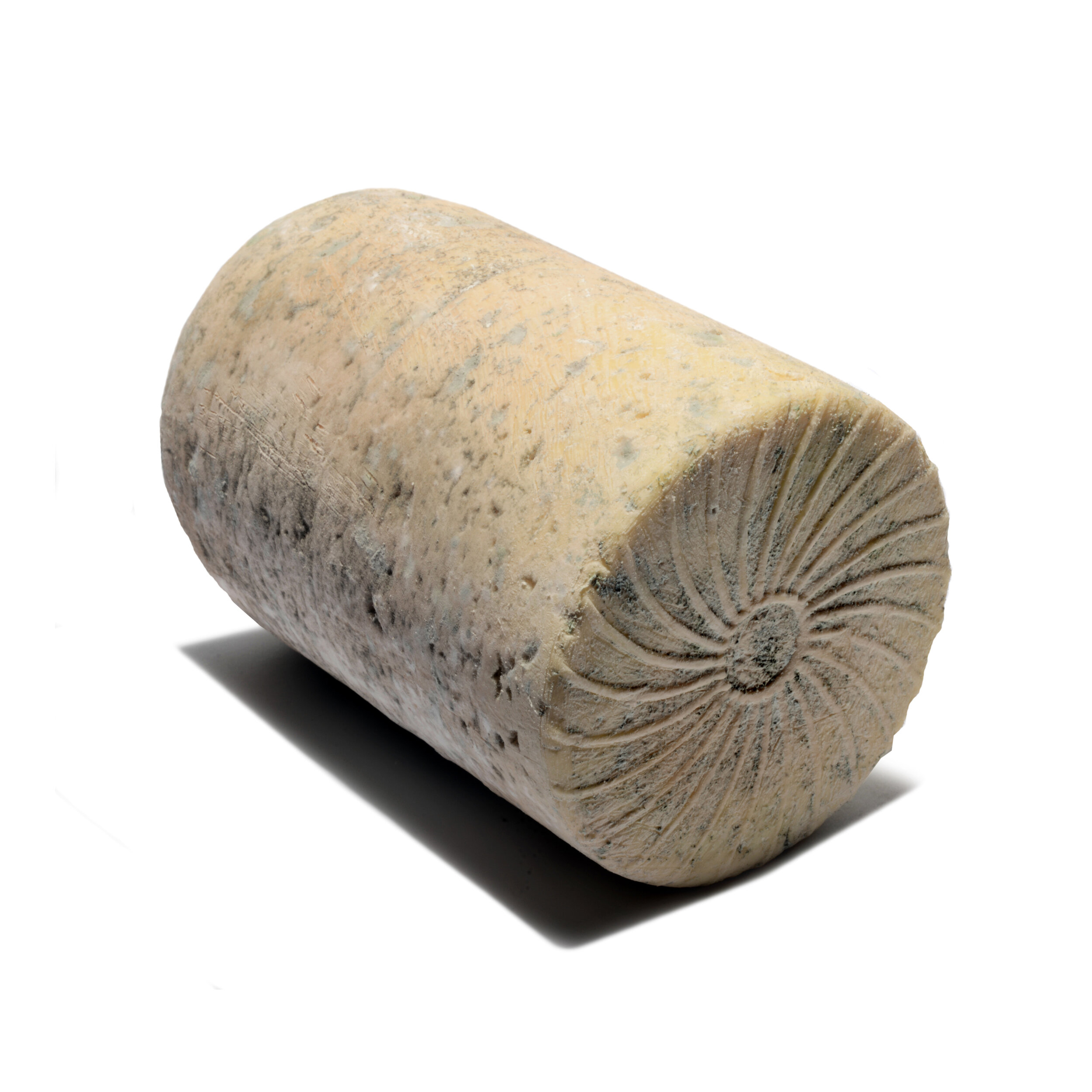 BLUE CHEESE FROM MONCENISIO