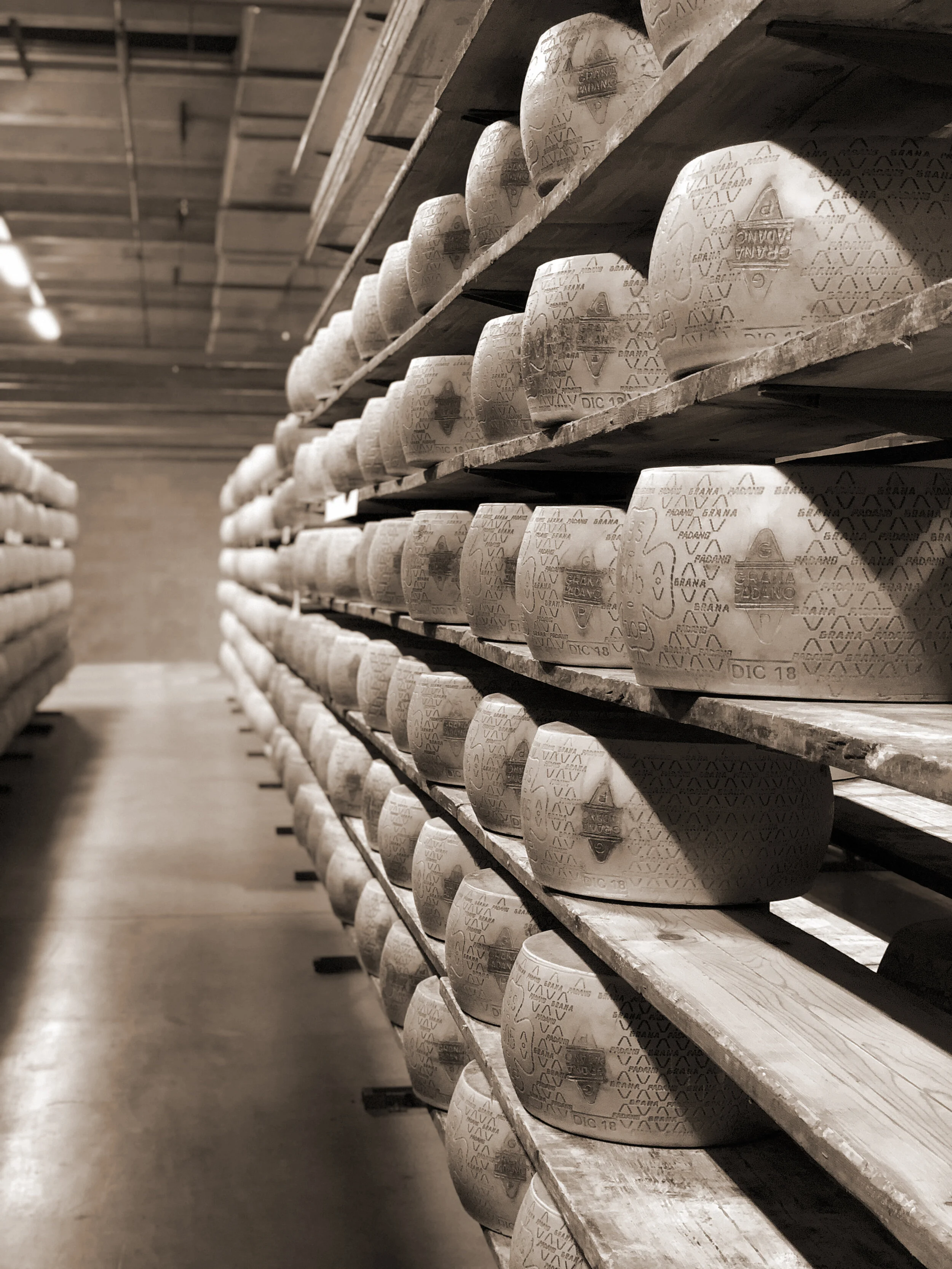 Commercio all'ingrosso di formaggi, salumi ed altre specialità da tre generazioni.