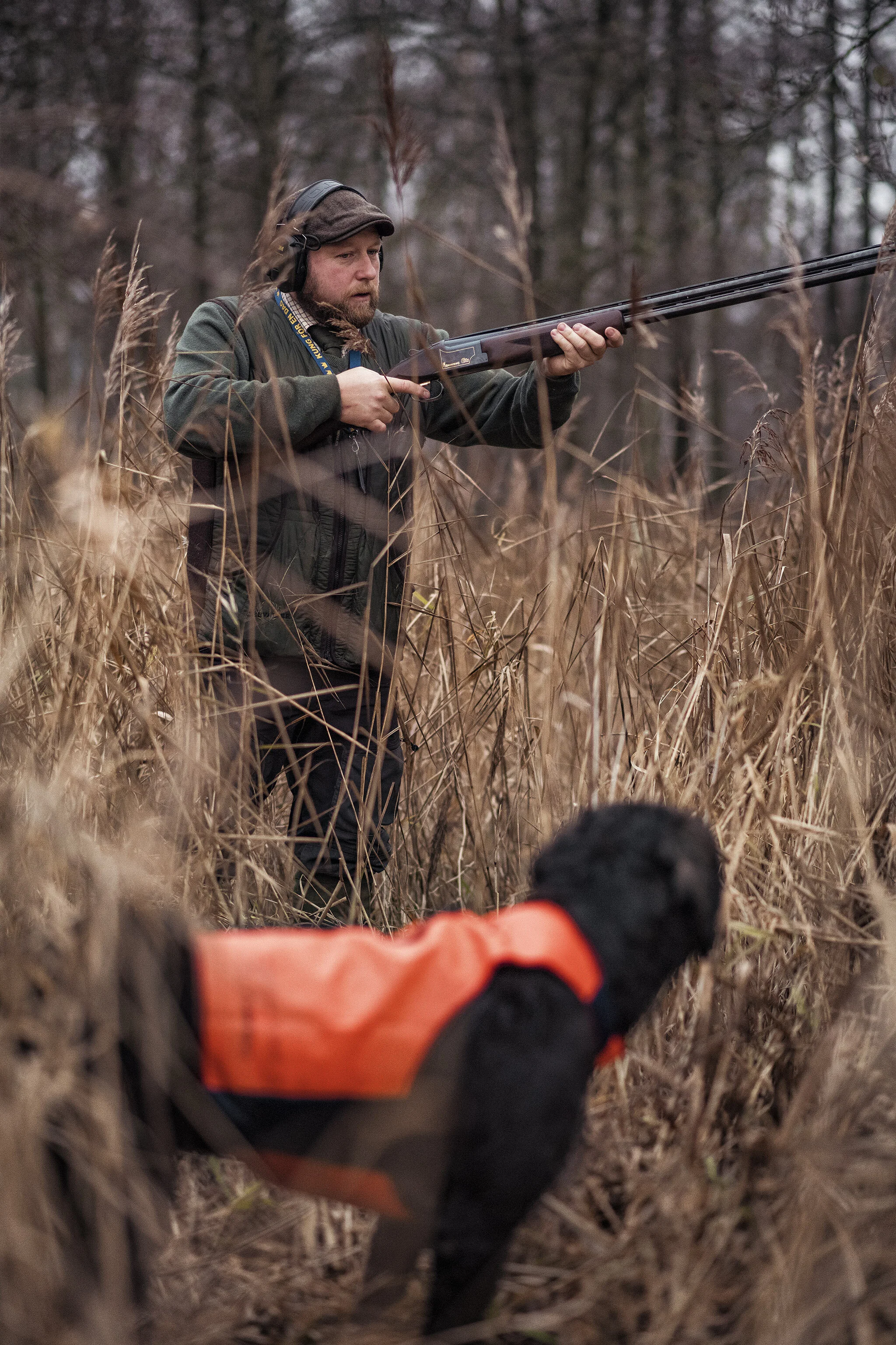 Jakt_JoF_Fasan_Markus_181105_0062.jpg