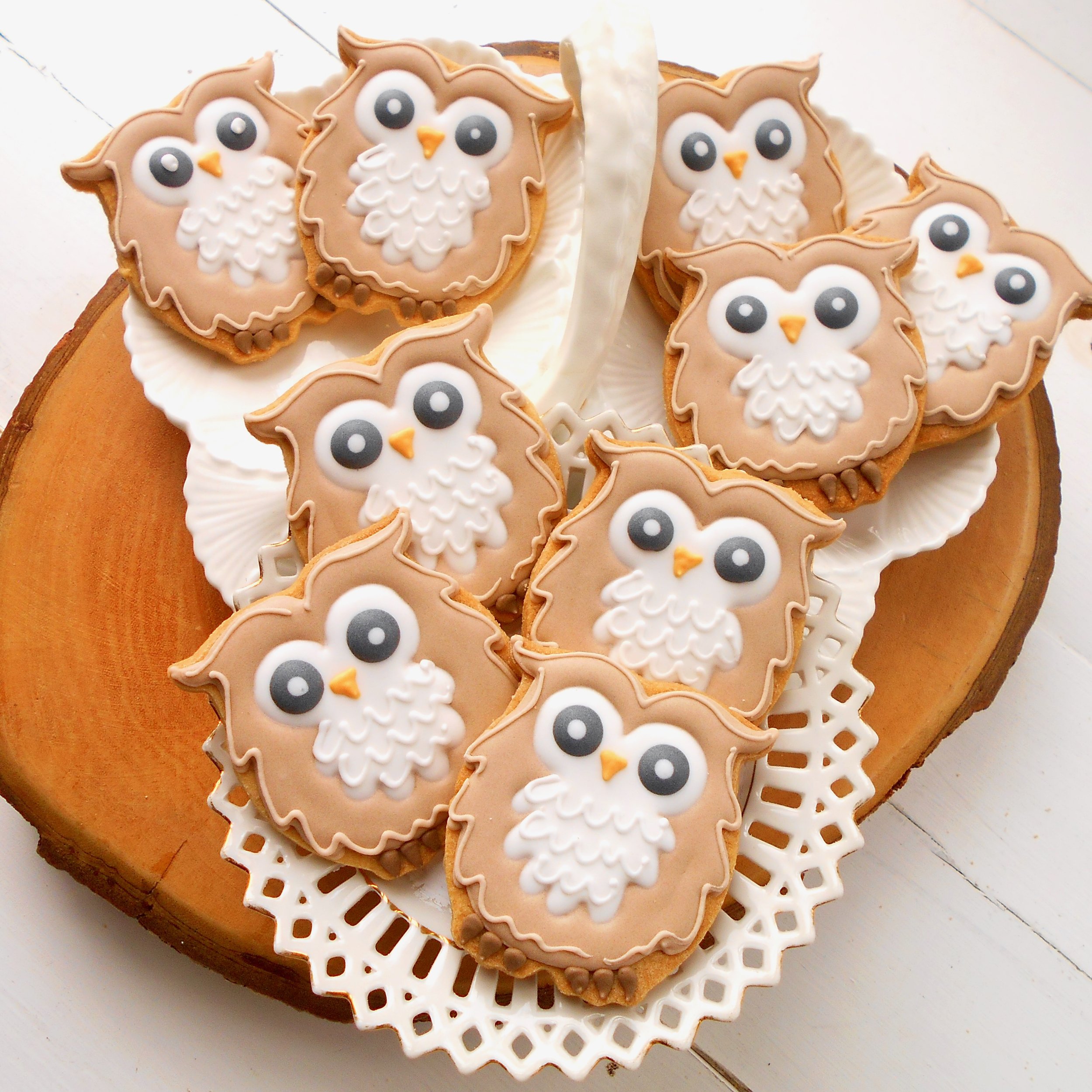 owls