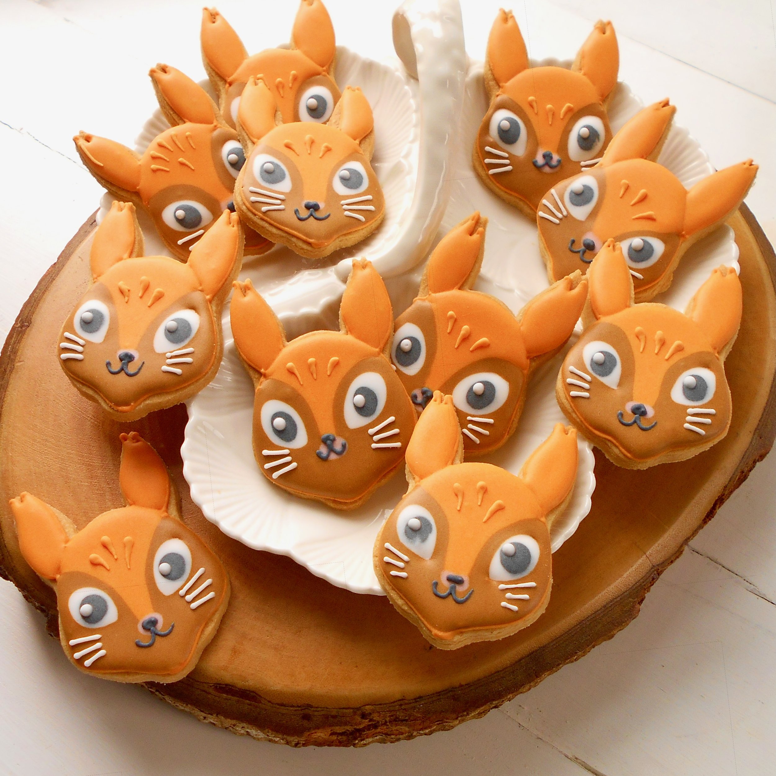 squirrels