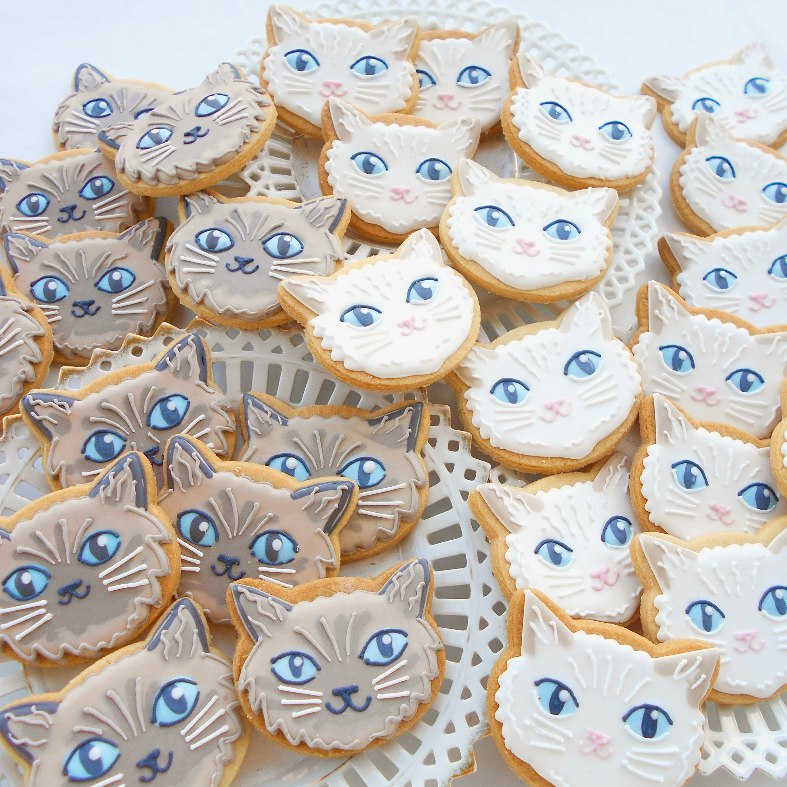 Cat wedding biscuits