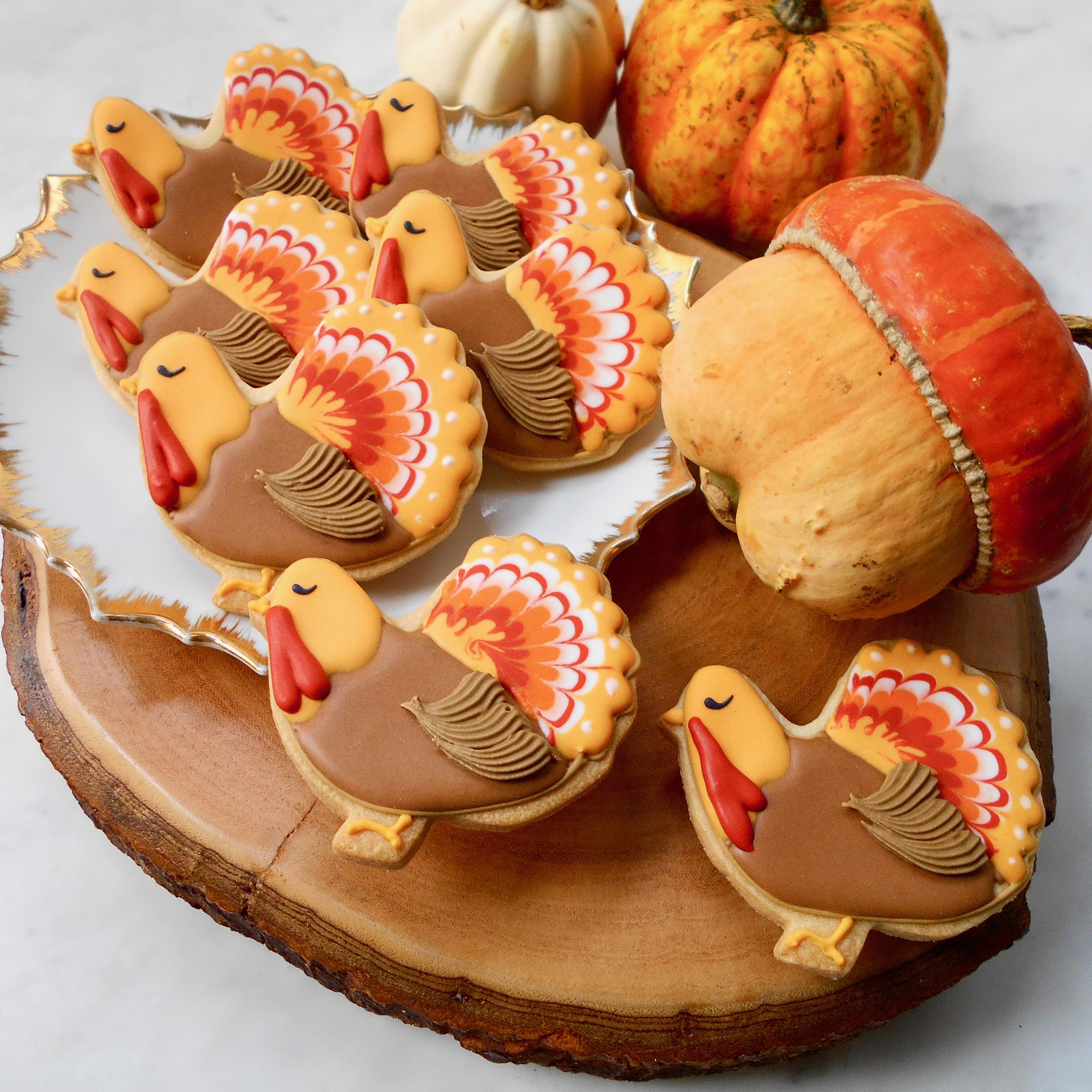thanksgiving turkeys