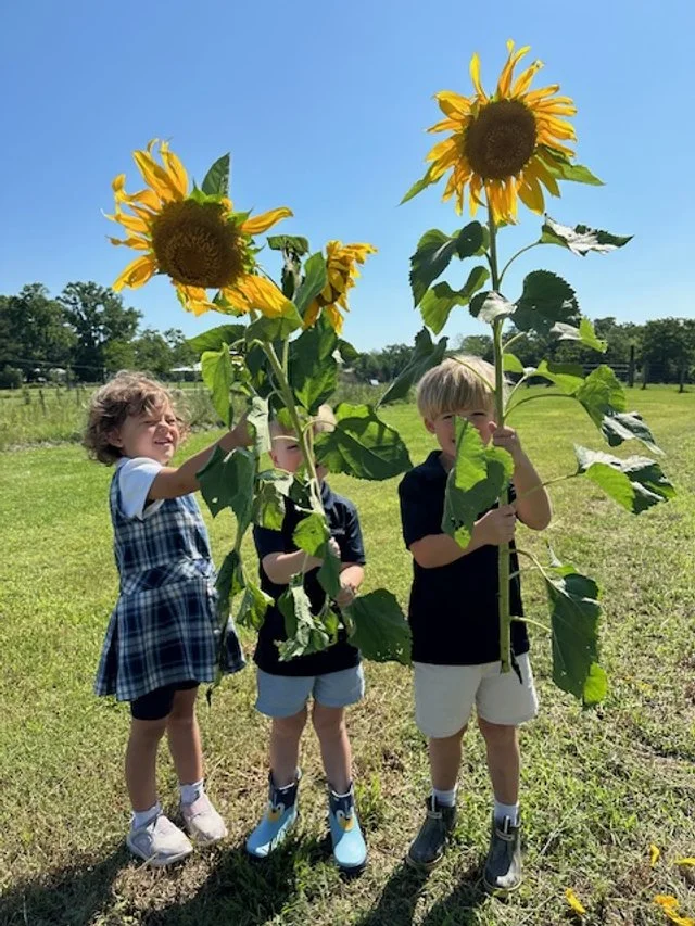 Three children holding large sunflowers outdoors on a sunny day with a grassy field and trees in the background.
