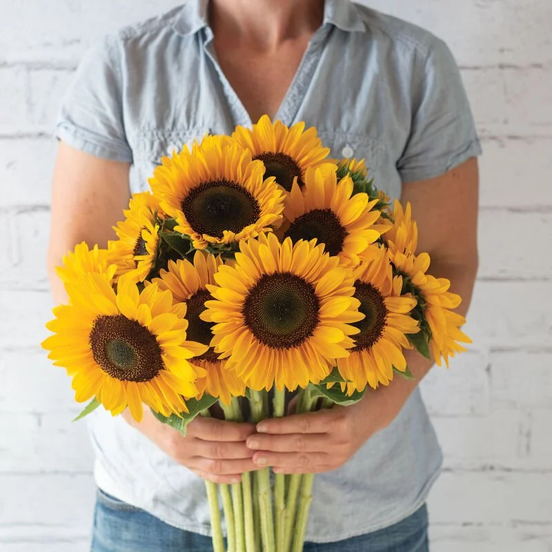 Person holding a large bouquet of bright yellow sunflowers in front of a white brick wall.