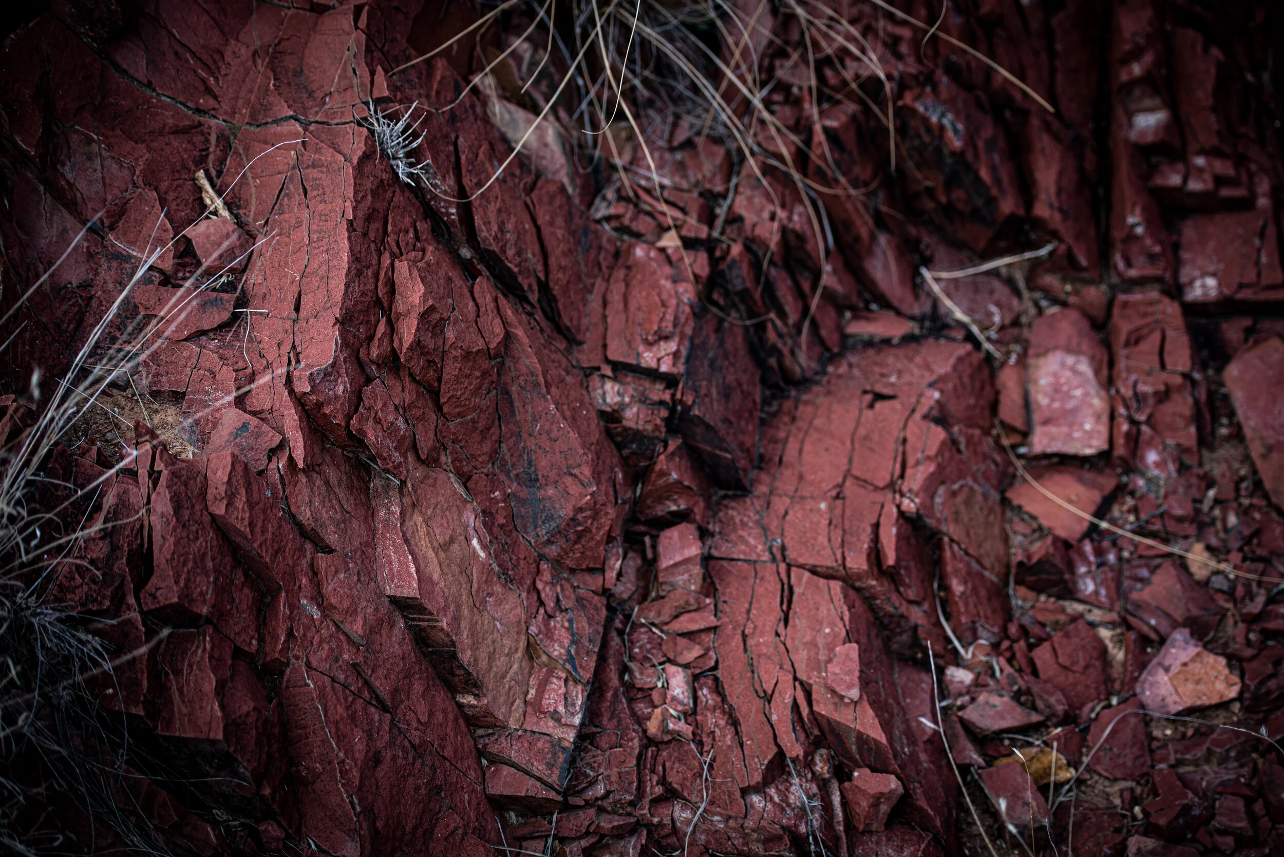 Detail Photography part 1.jpg