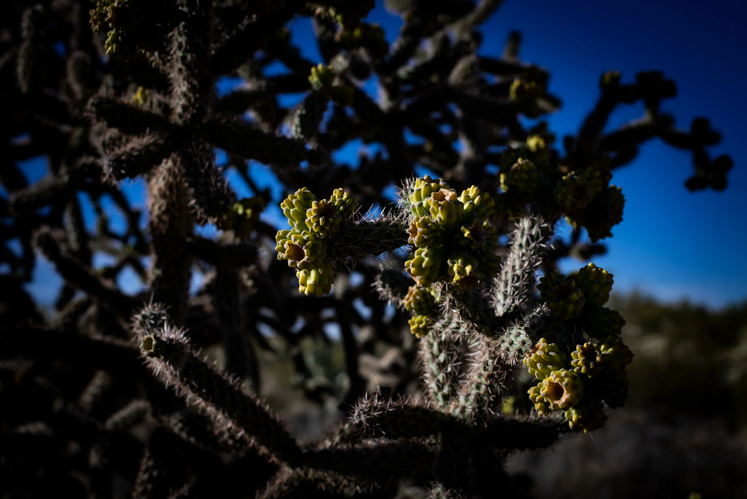 Detail Photography part 2.jpg