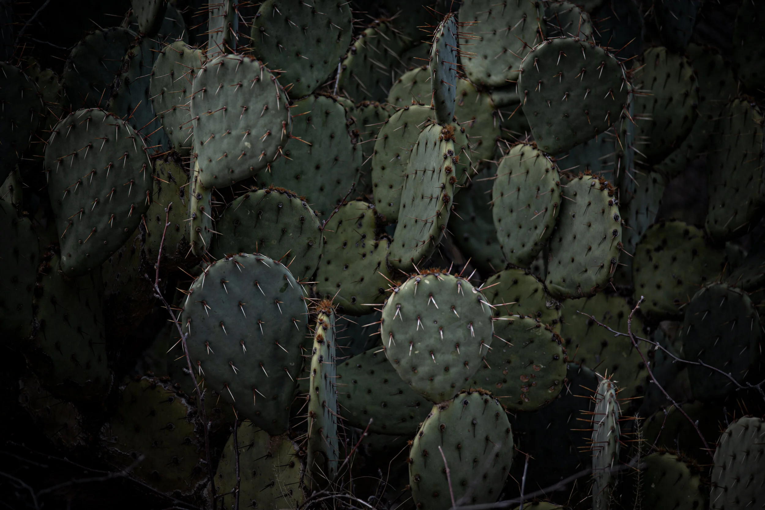 Detail Photography part 3.jpg