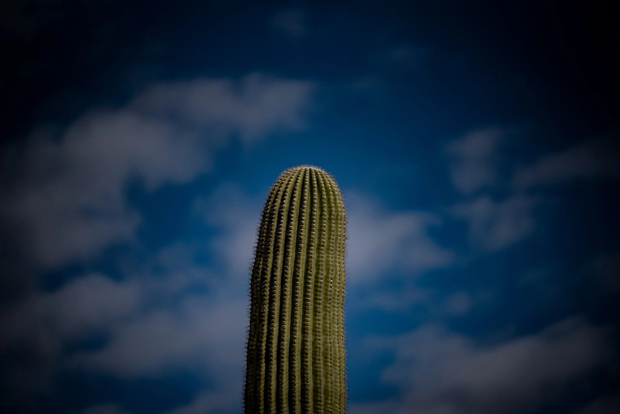 Detail Photography part 4.jpg