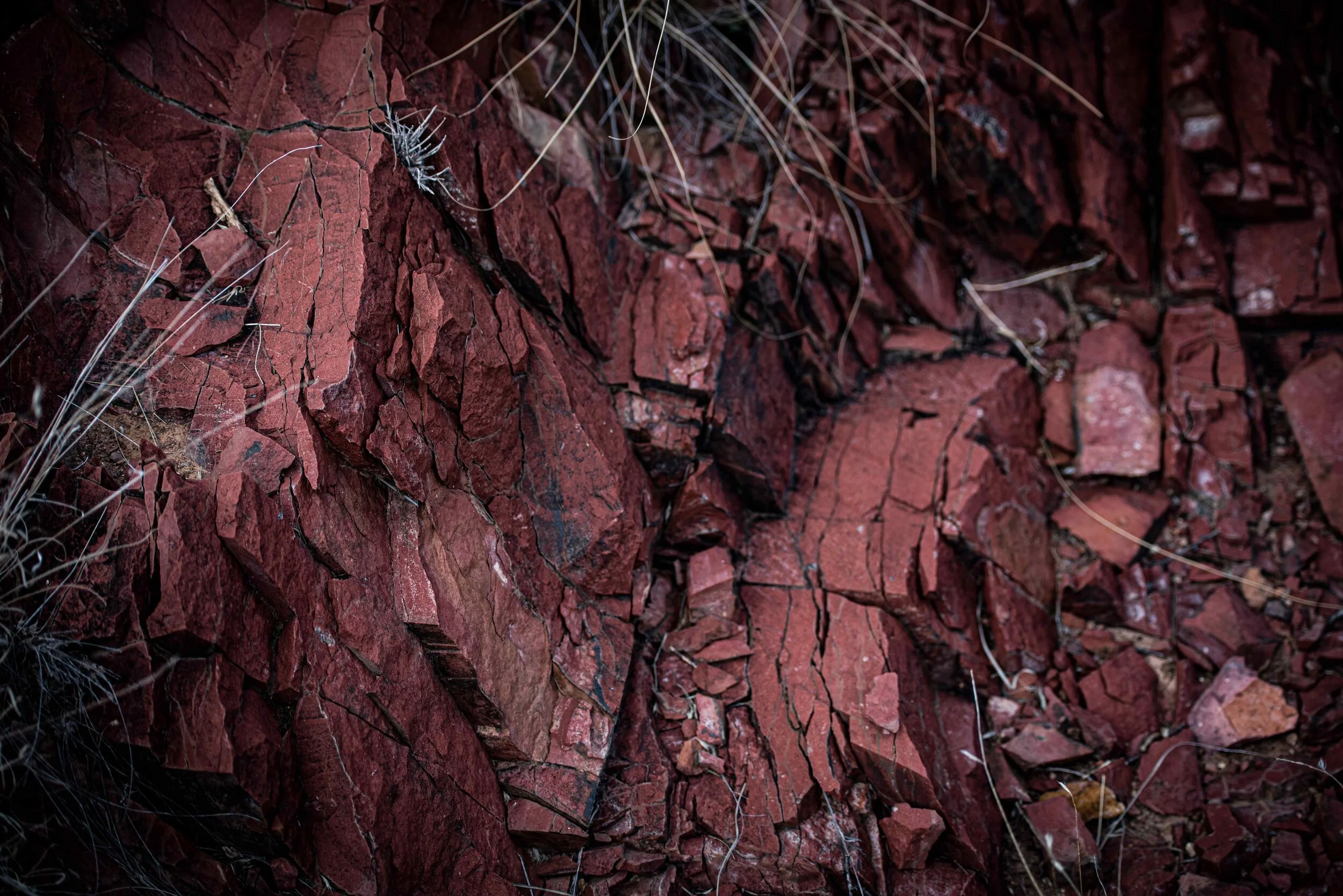 Detail Photography part 1.jpg