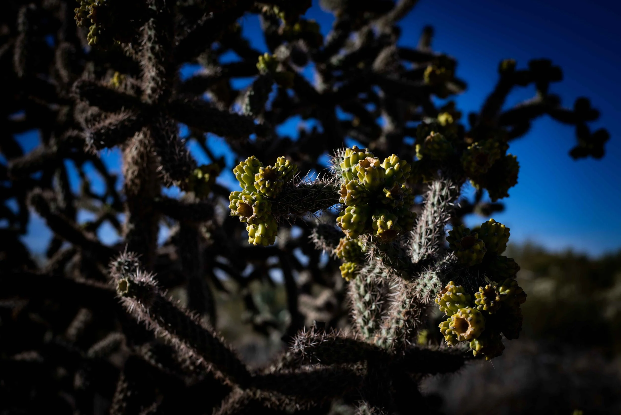 Detail Photography part 2.jpg