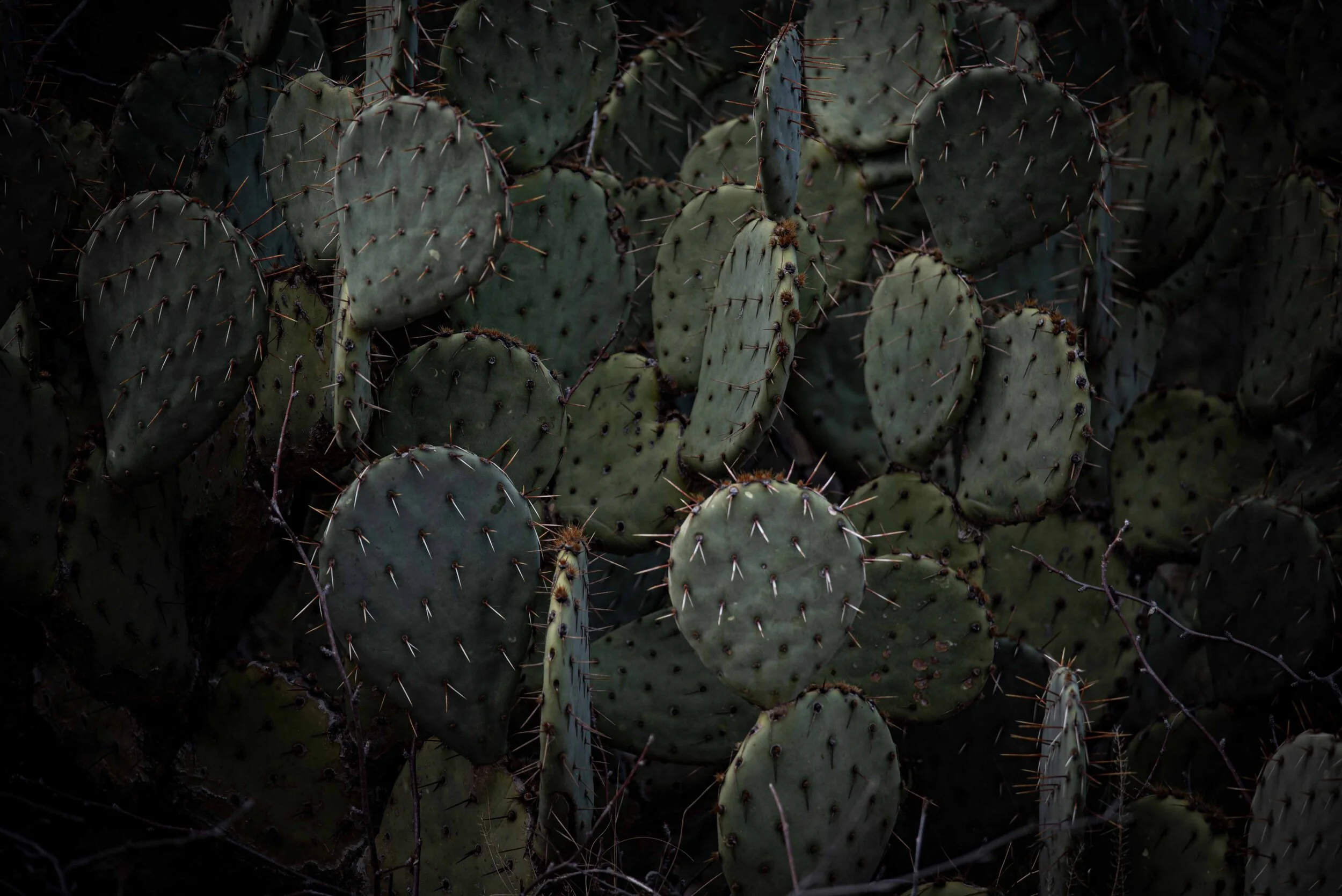 Detail Photography part 3.jpg