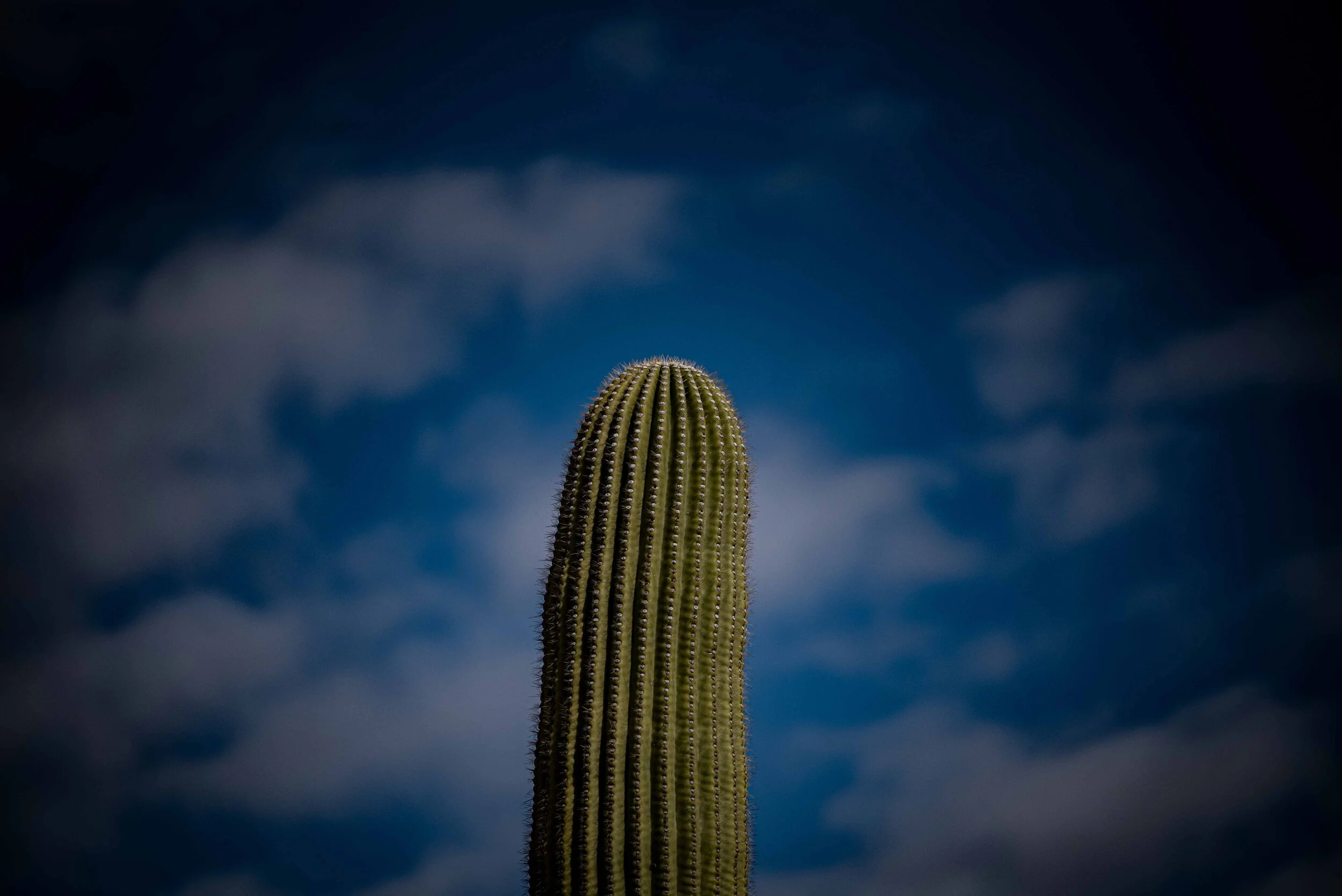 Detail Photography part 4.jpg