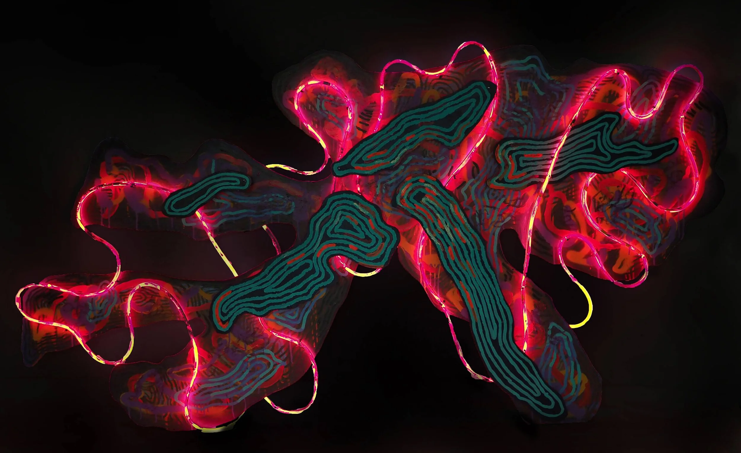 Cingulate Cortex.jpg