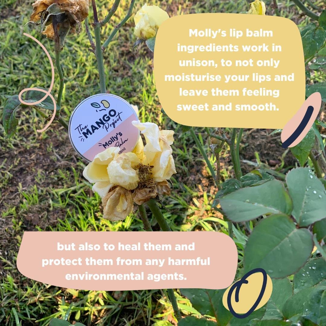 Molly Lip Balm is blossoming, you'd think we plucked it straight from the tree! 🌳🌼

Packed full of simple ingredients with complex functions. It works to not only moisturise, but heal, repair and protect your lips 👄

You don't need to do the dirty
