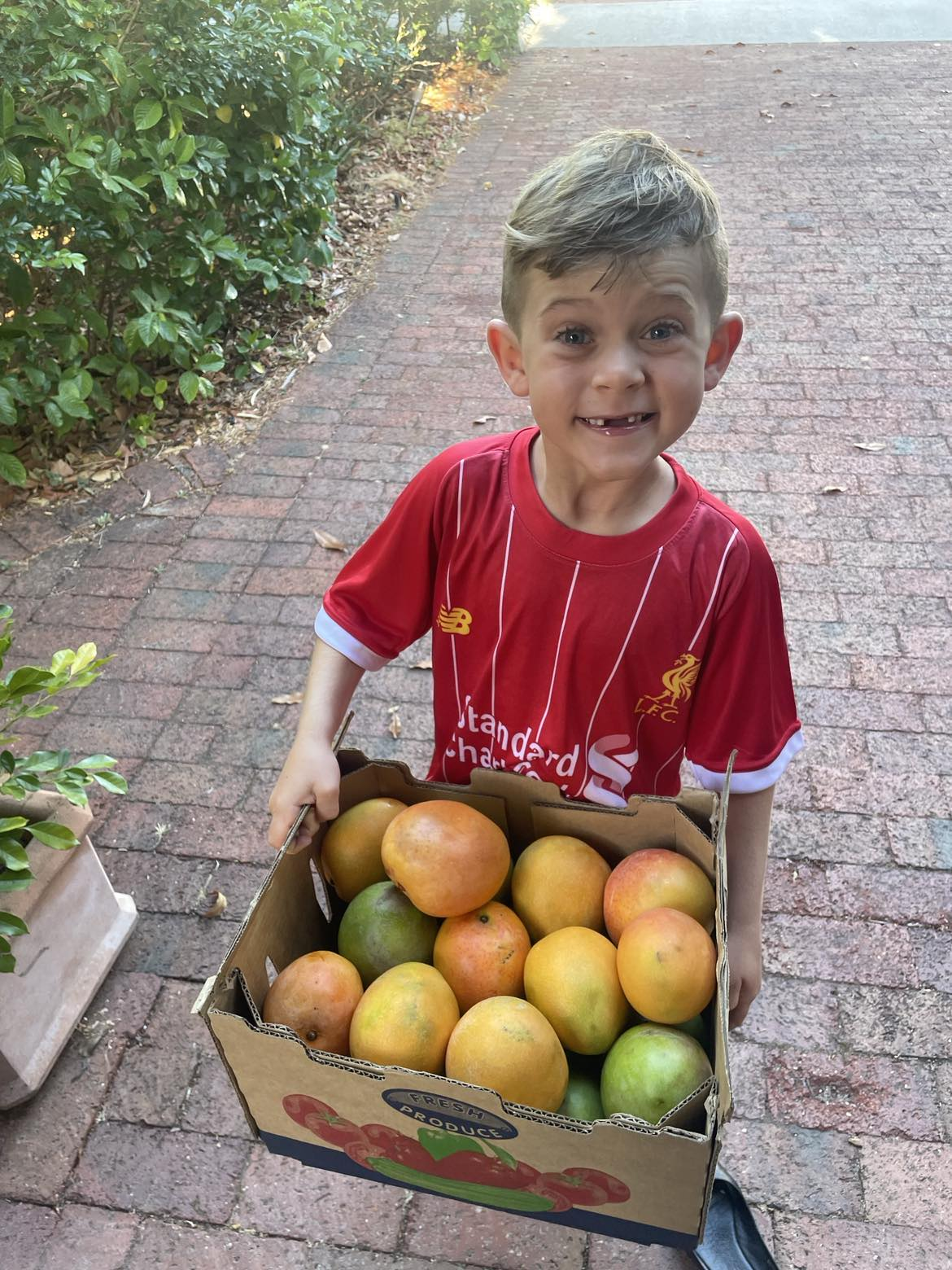 Proudly Australian — The Mango Project