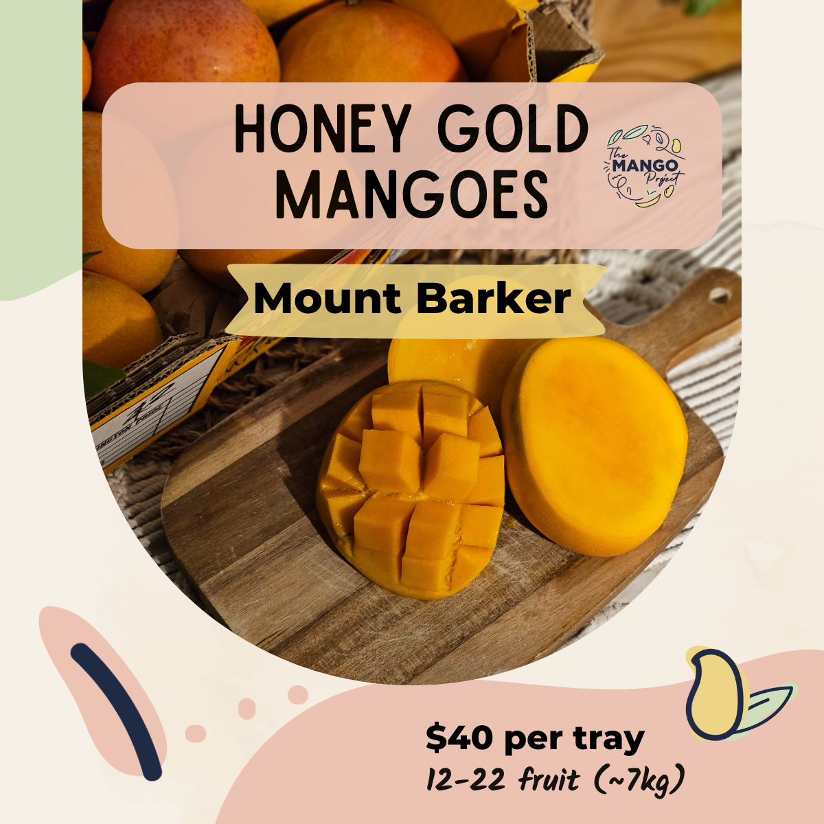 Honey Gold Mango Pickup - Mount Barker