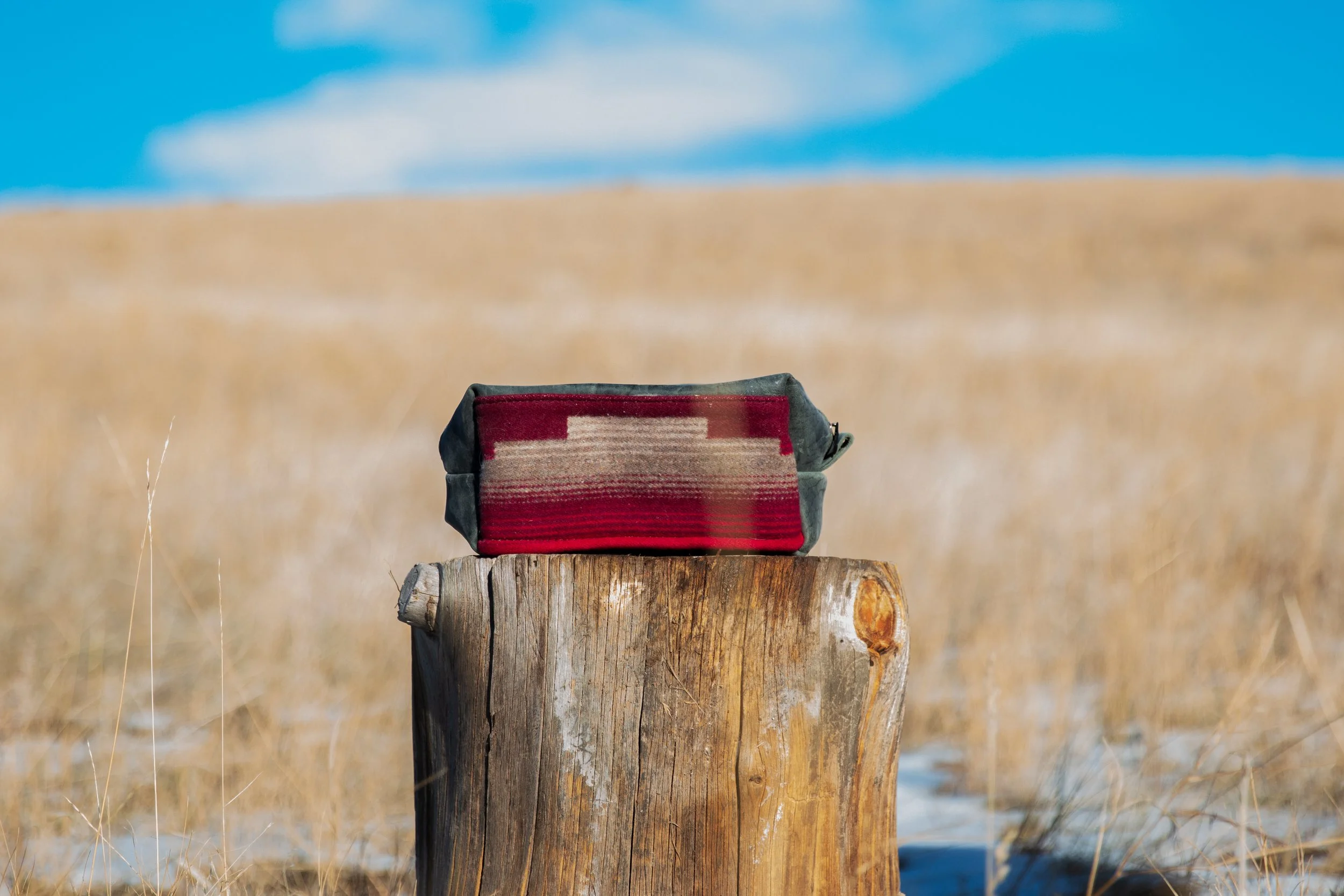Grey Buffalo and Pendleton