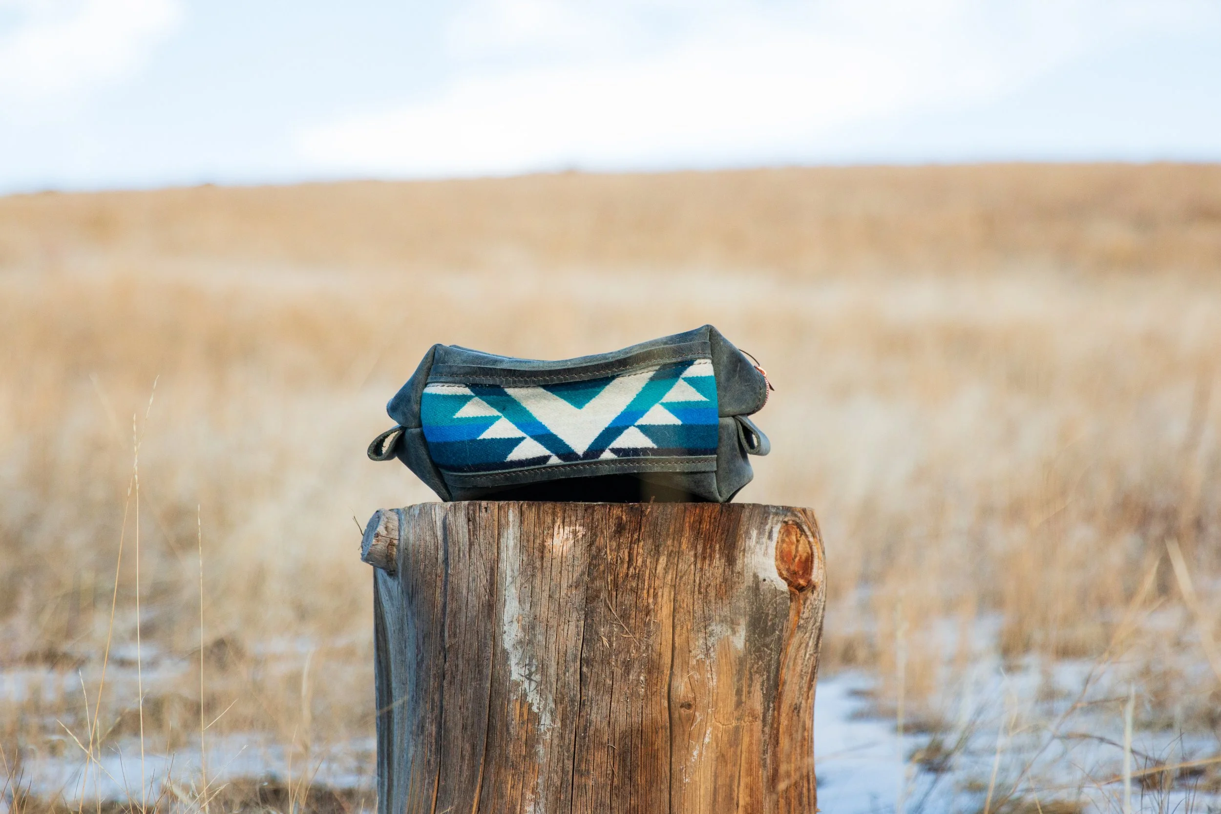 Grey Buffalo and Blue Pendleton