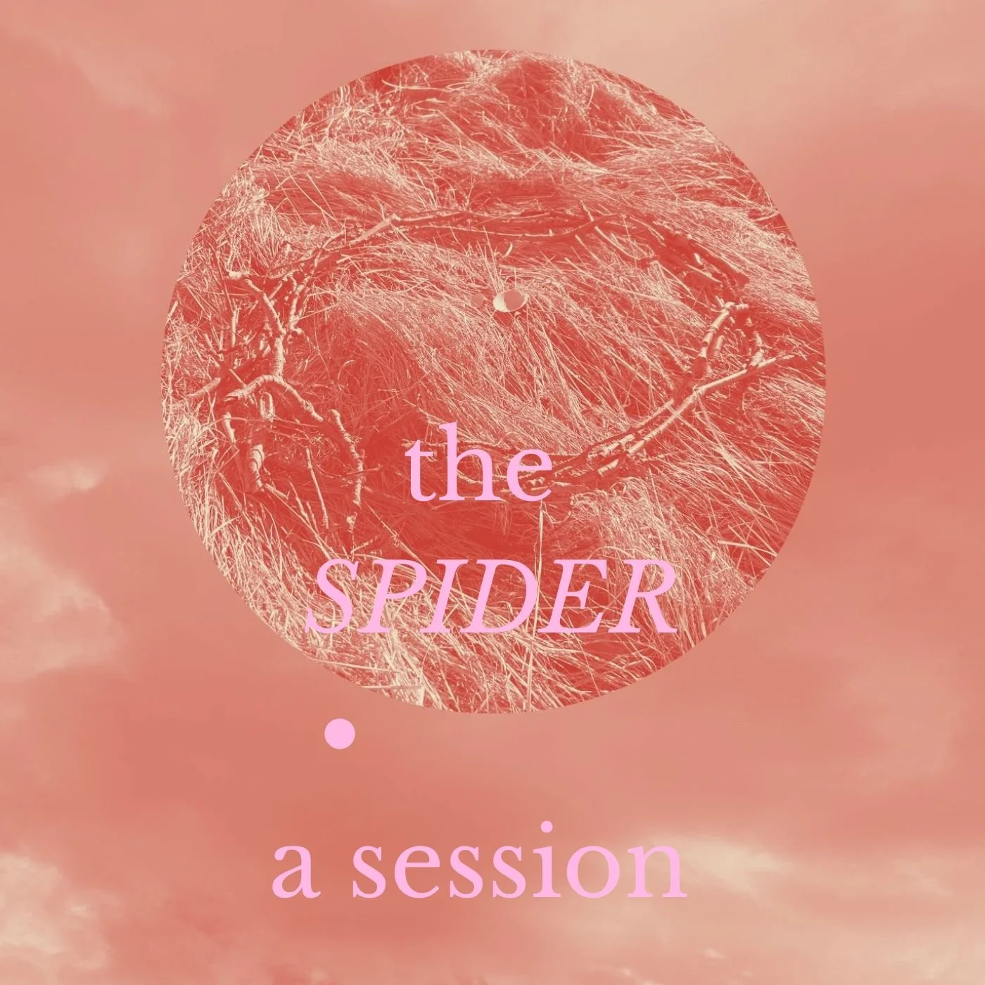 THE SPIDER Session-2.jpg