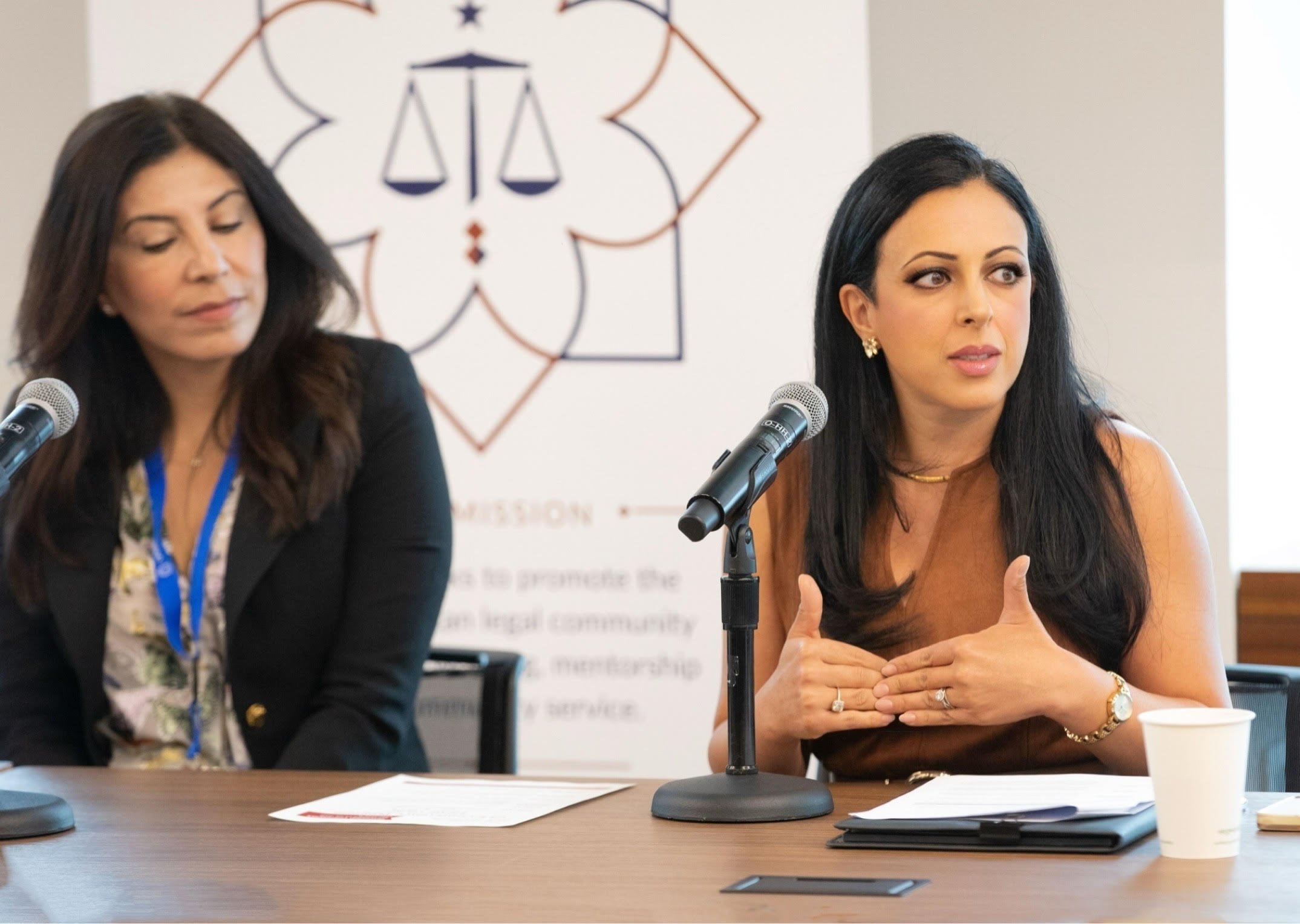 top lawyer attorney marvet sweis