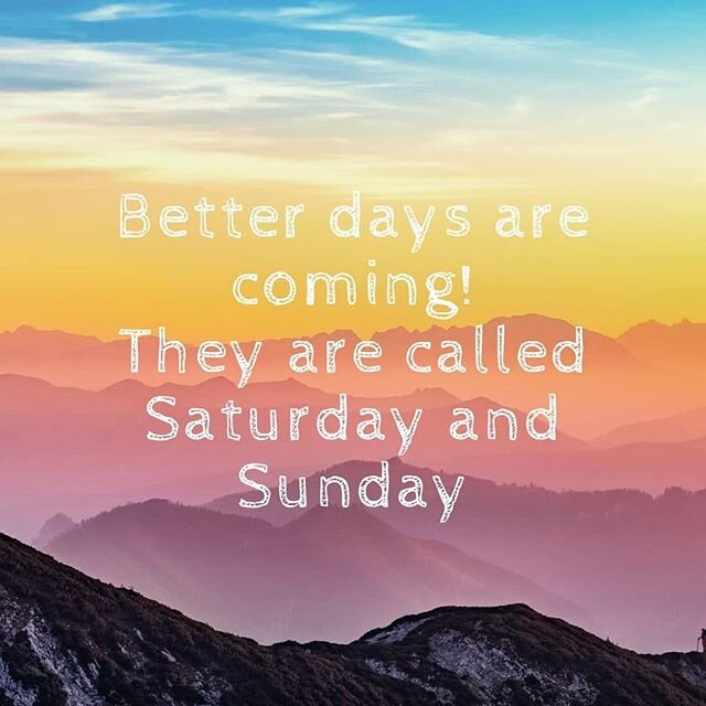 Weekend Frenzy!
#Freeseeker