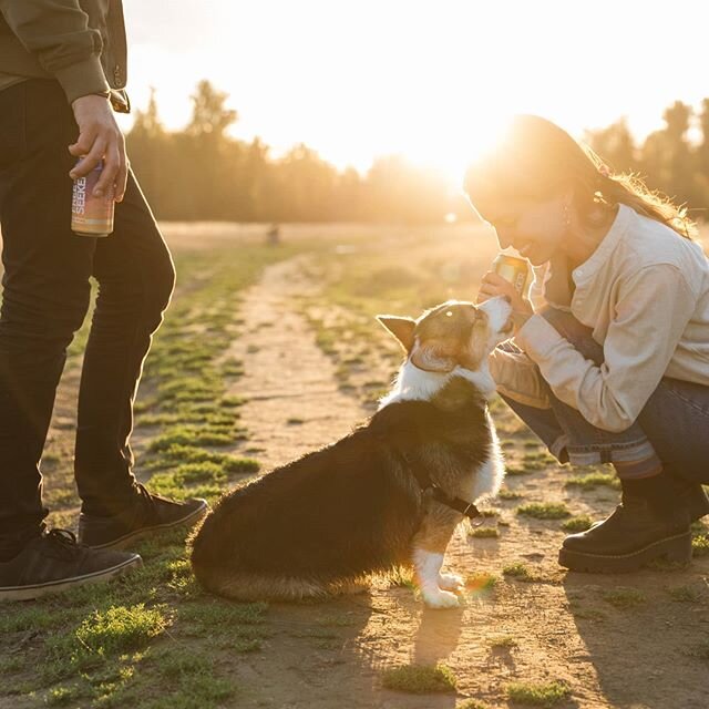 Happy National puppy day! 
#Freeseekerwines