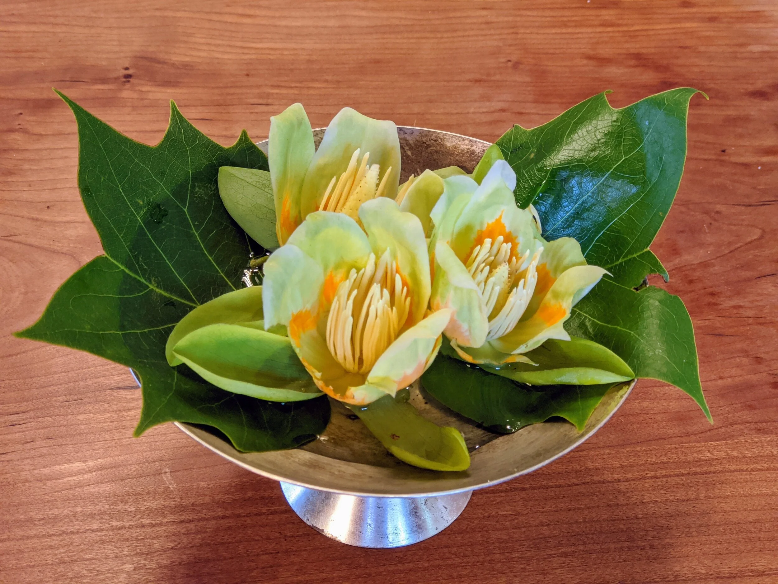 Food for the Soul | June 3rd, 2020