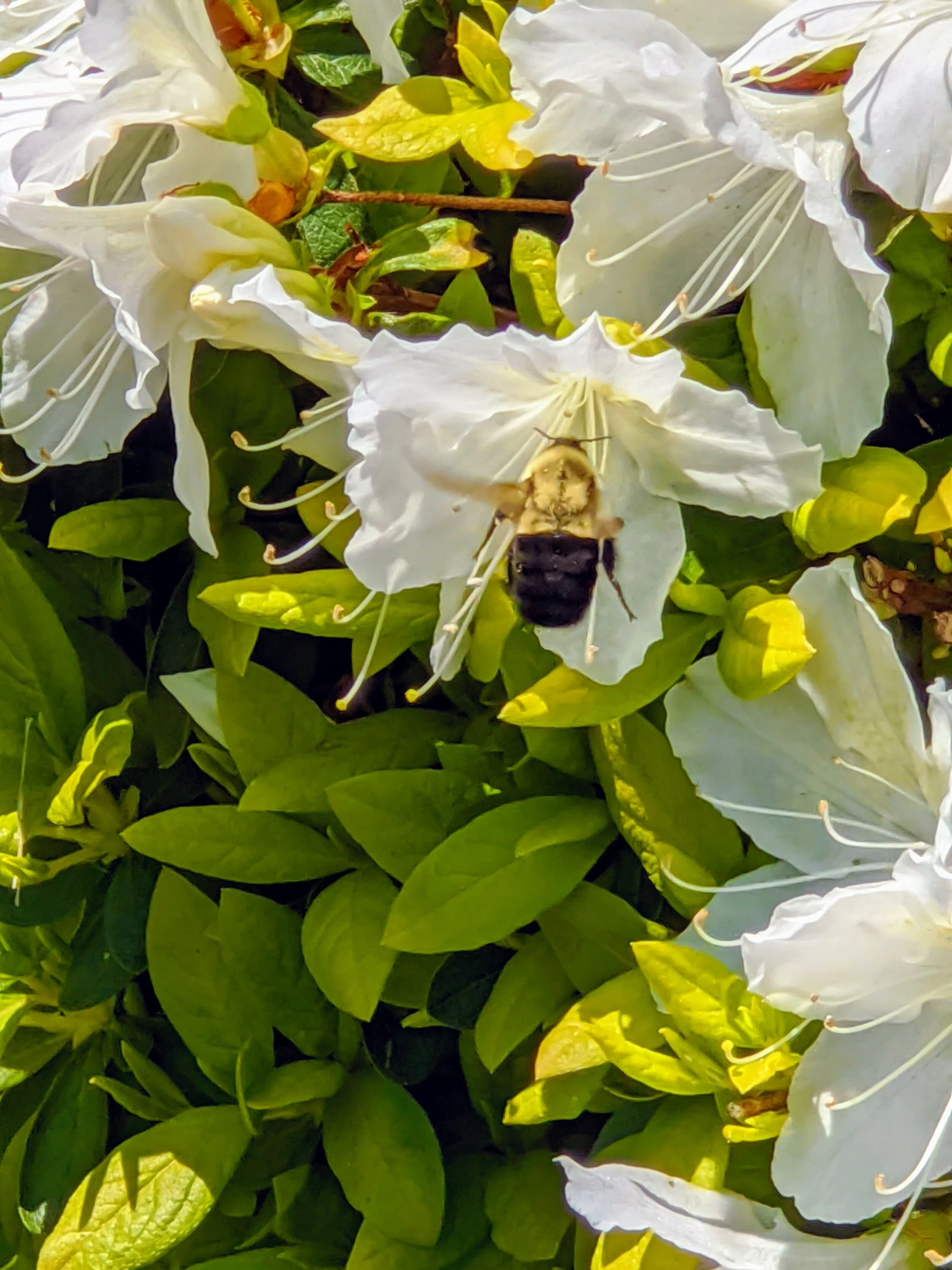 Food for the Soul | May 27th, 2020