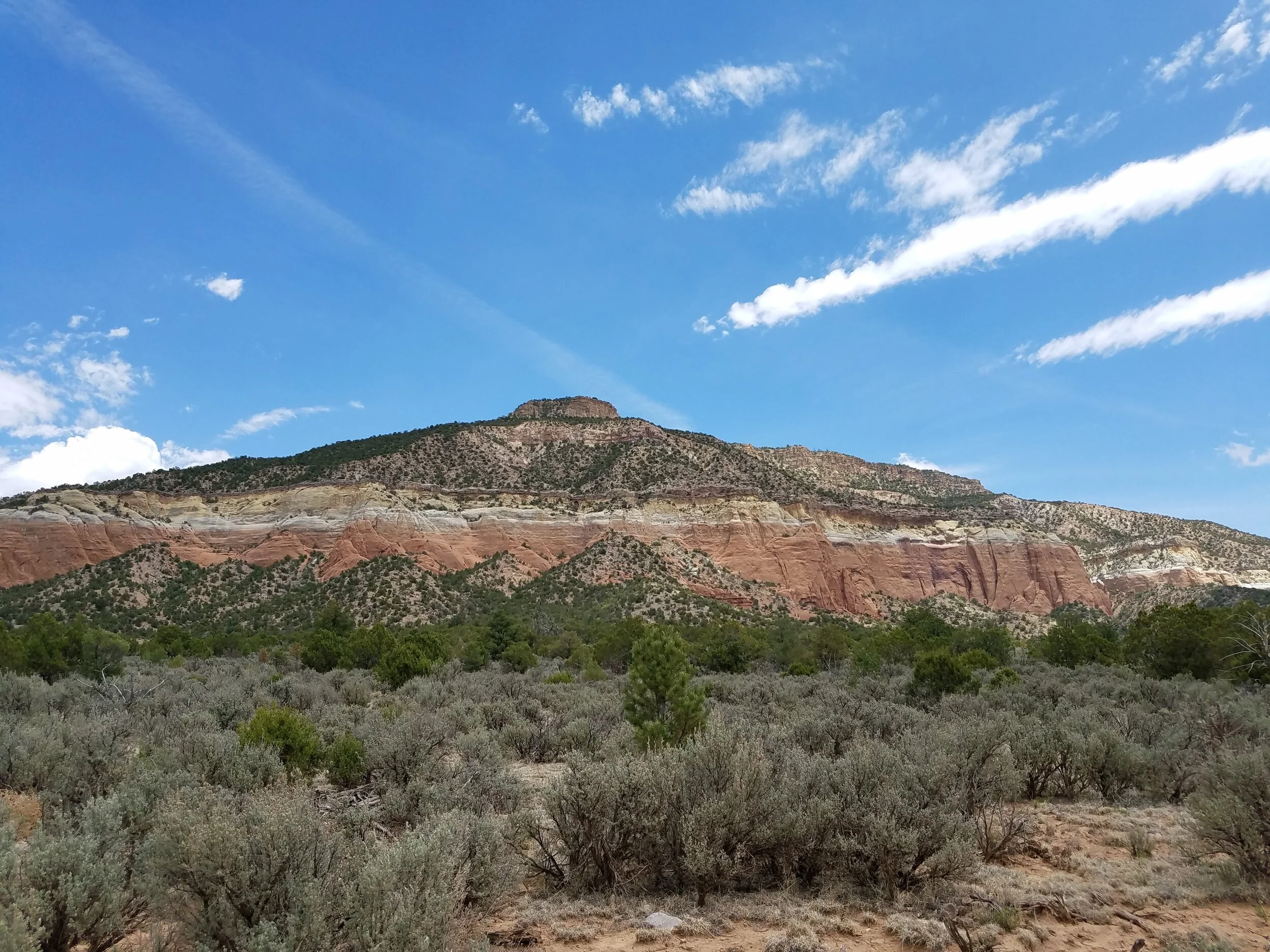 Food for the Soul | July 9th, 2020