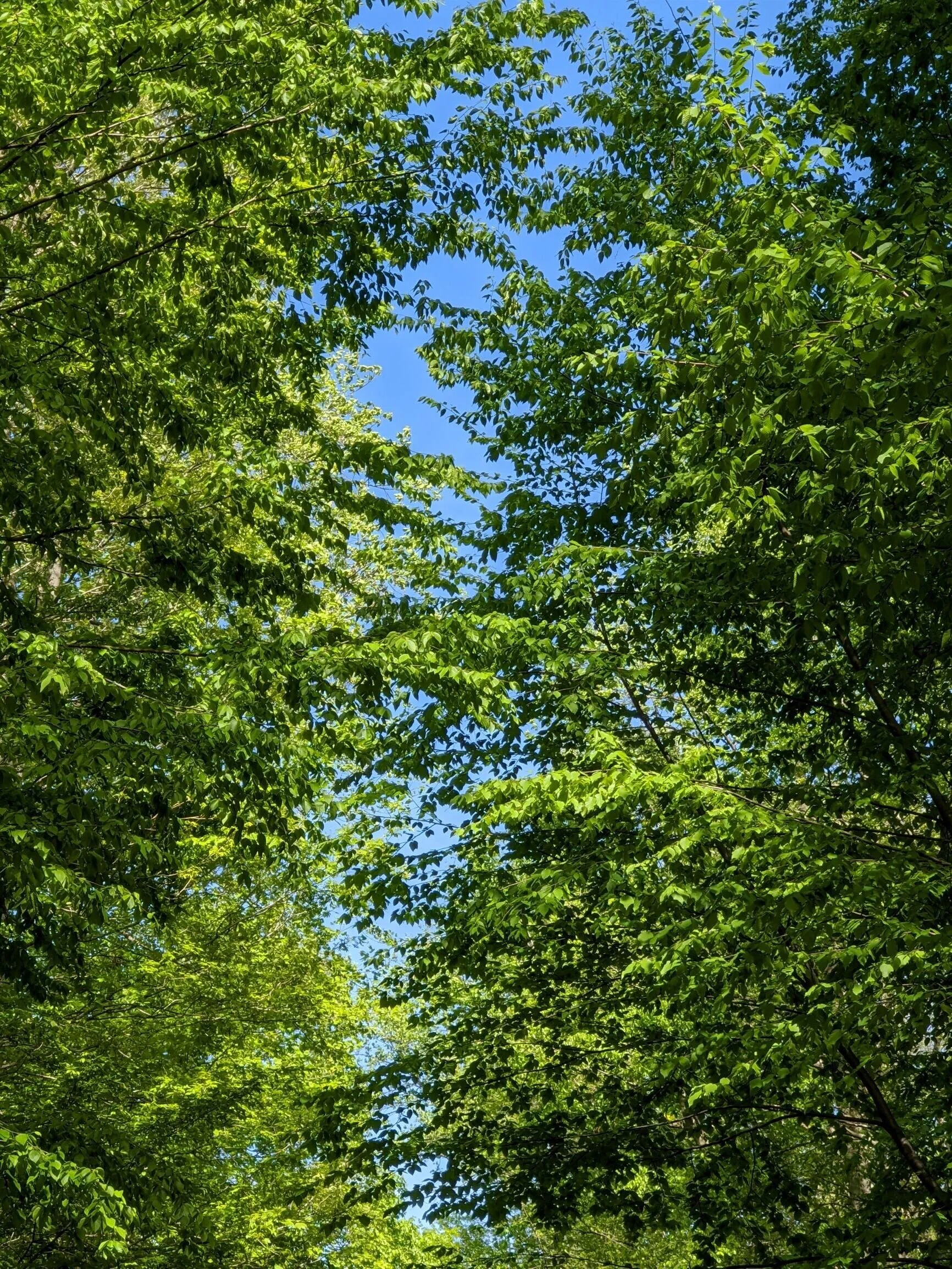 Food for the Soul | September 9th, 2020