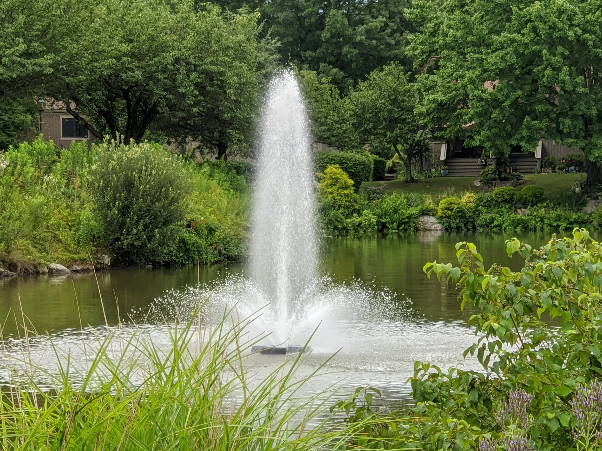 Food for the Soul | September 16th, 2020