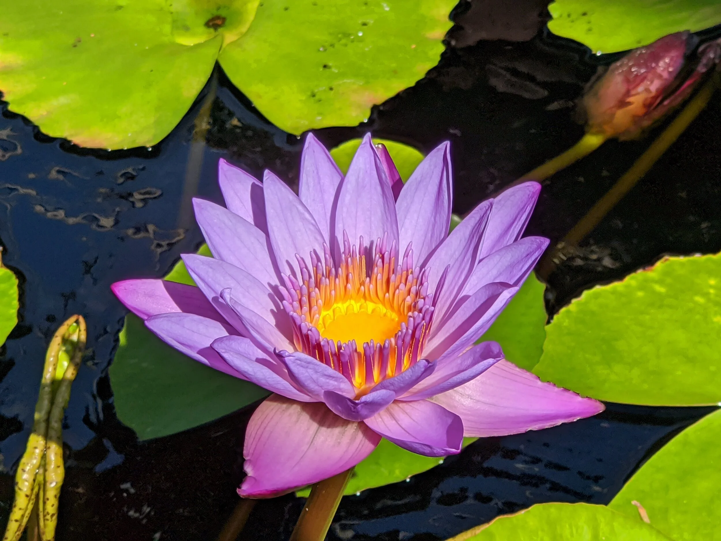 Food for the Soul | October 7th, 2020