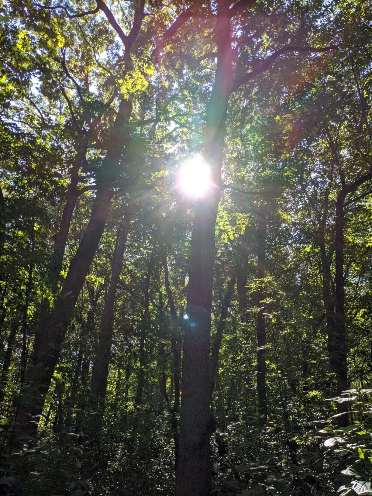 Food for the Soul | October 21st, 2020