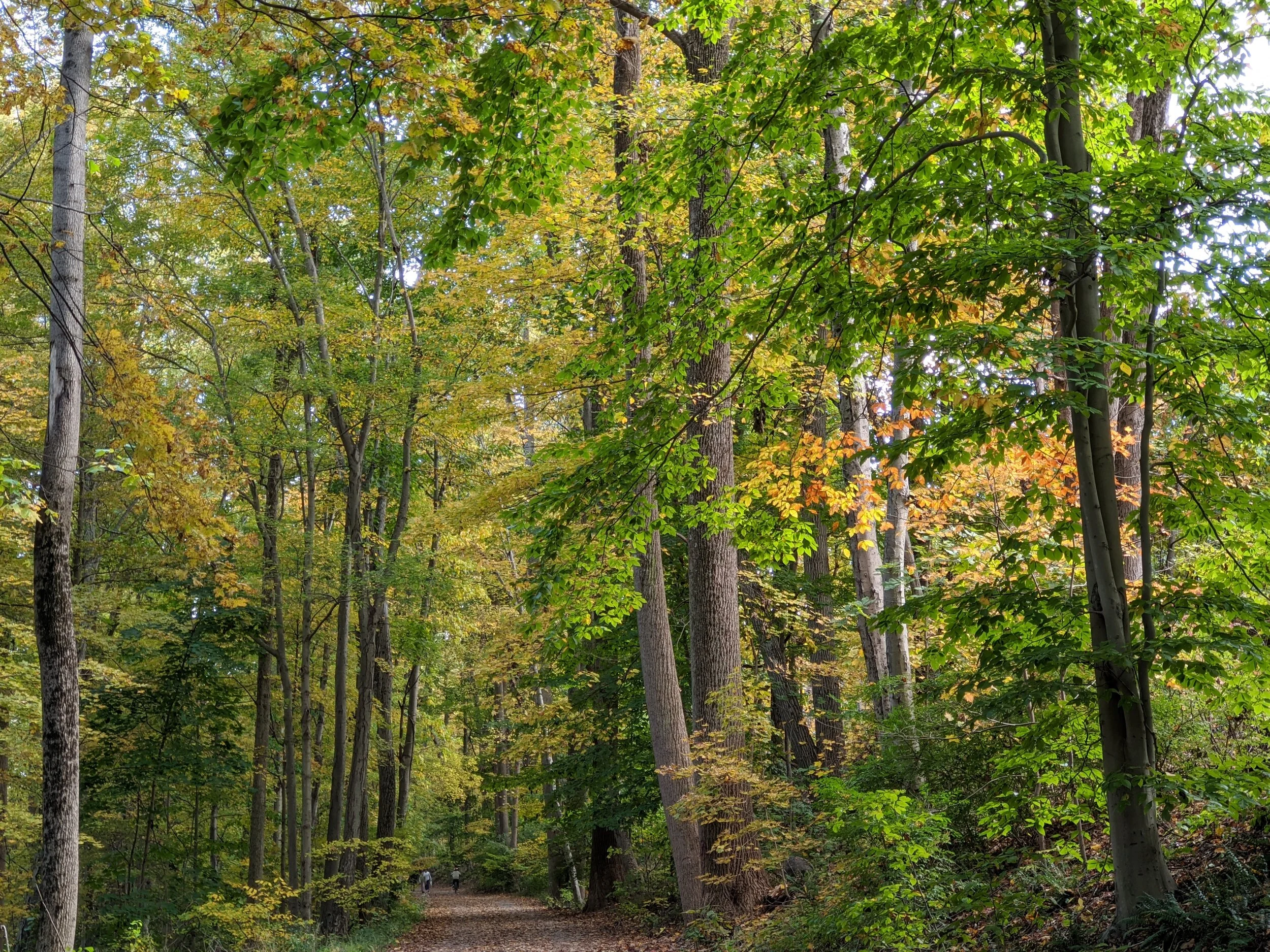 Food for the Soul | October 28th, 2020