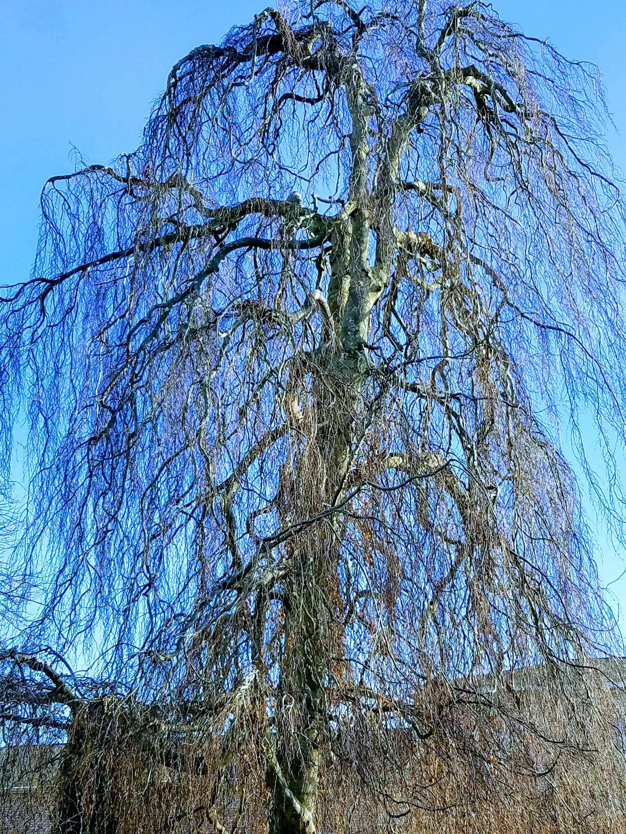 Food for the Soul | November 4th, 2020