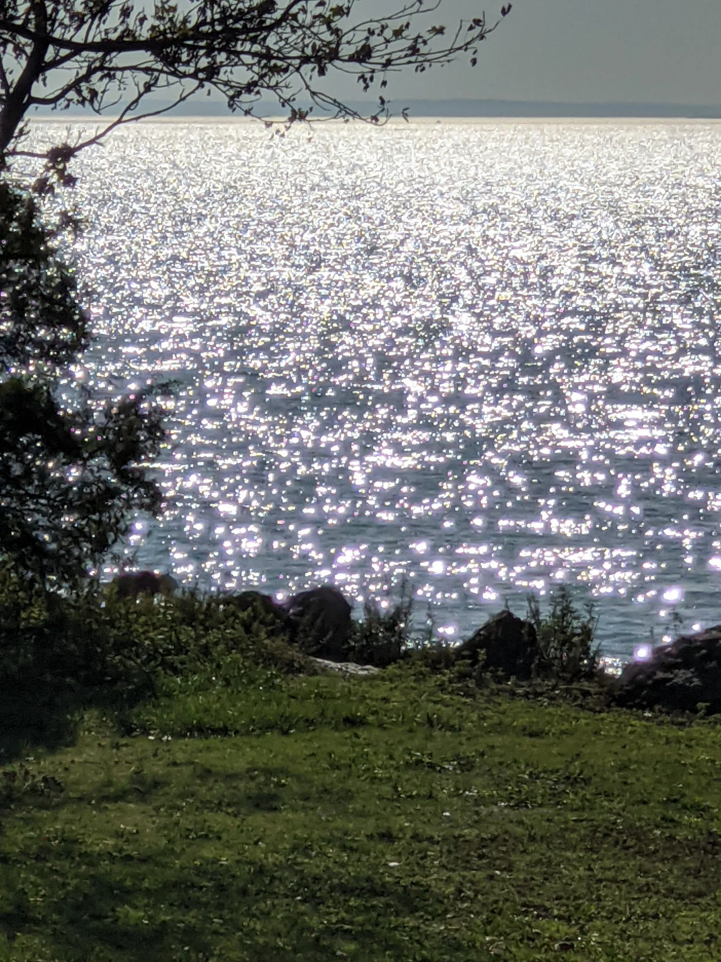 Food for the Soul | November 11th, 2020