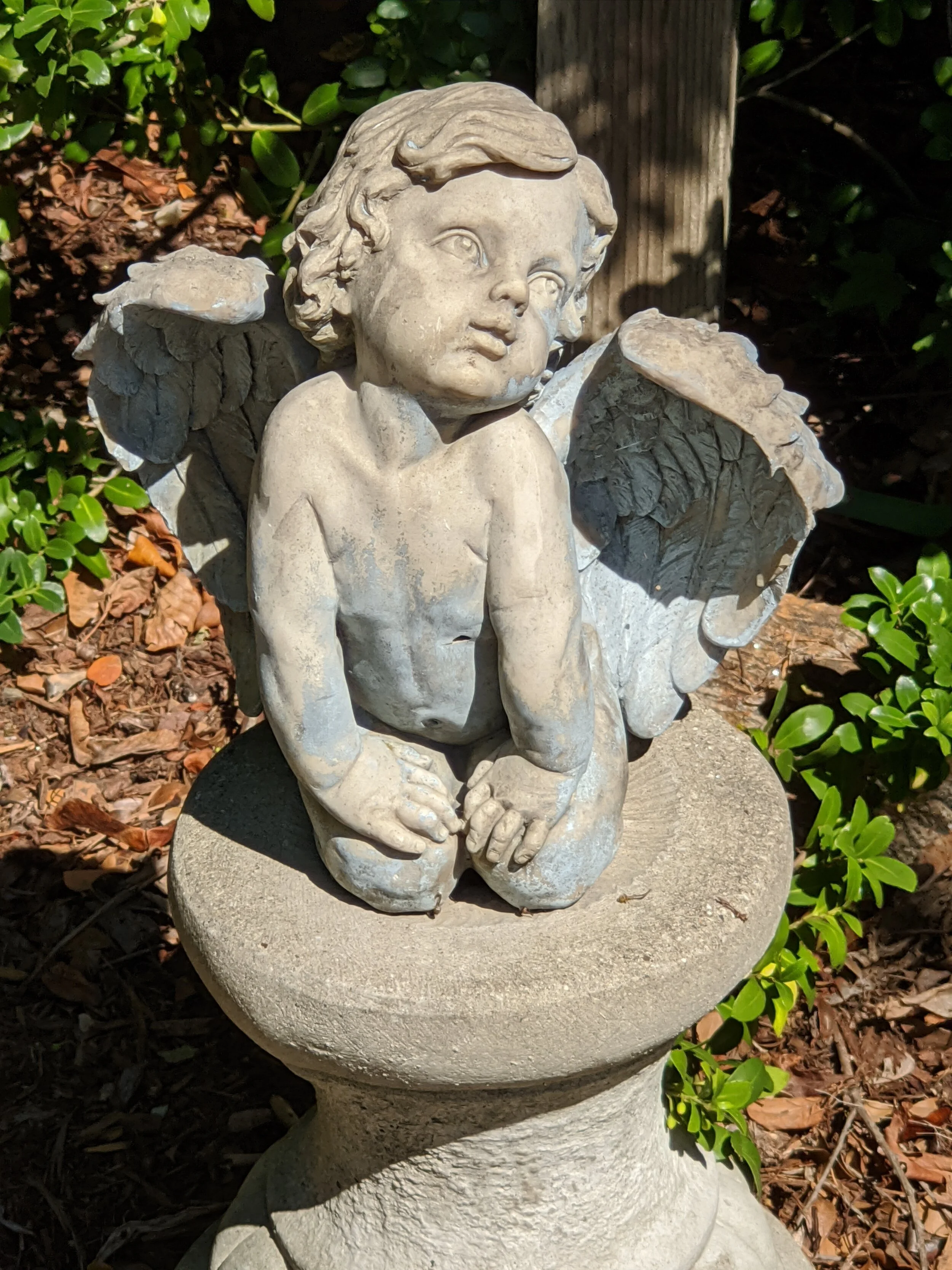 Food for the Soul | November 18th, 2020