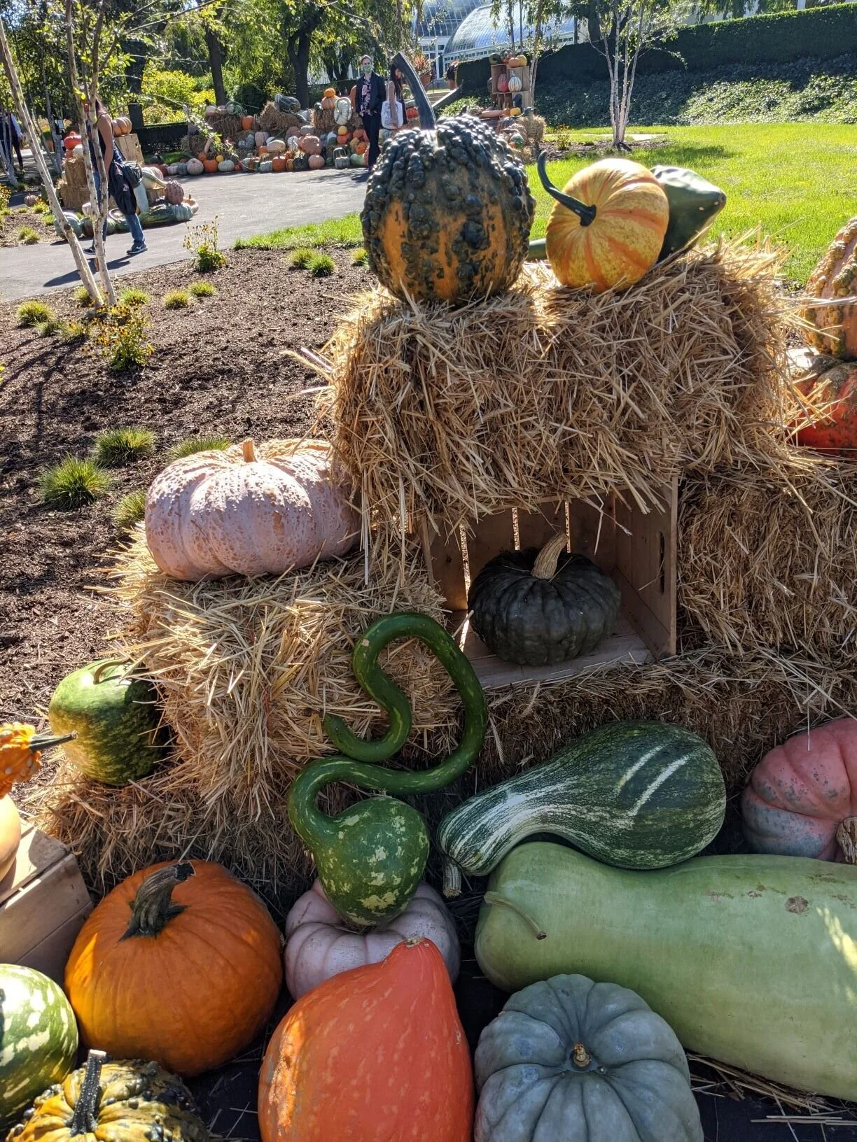 Food for the Soul | November 25th, 2020